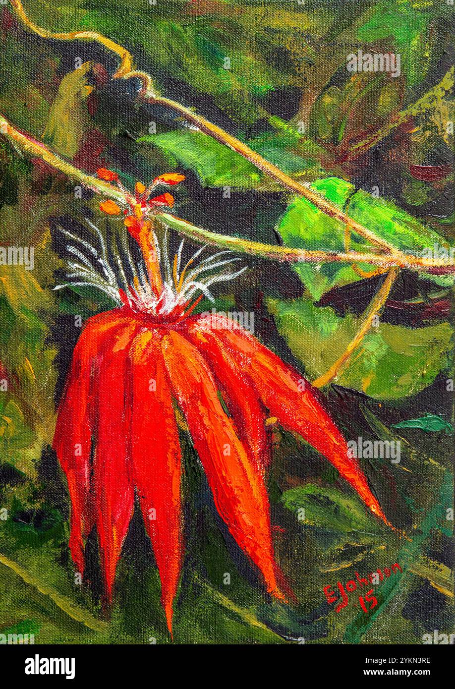 Die leuchtend rote Passionsblumenmalerei hebt sich vor dem Hintergrund üppig grüner Blätter hervor und zeigt die Schönheit der tropischen Flora Stockfoto