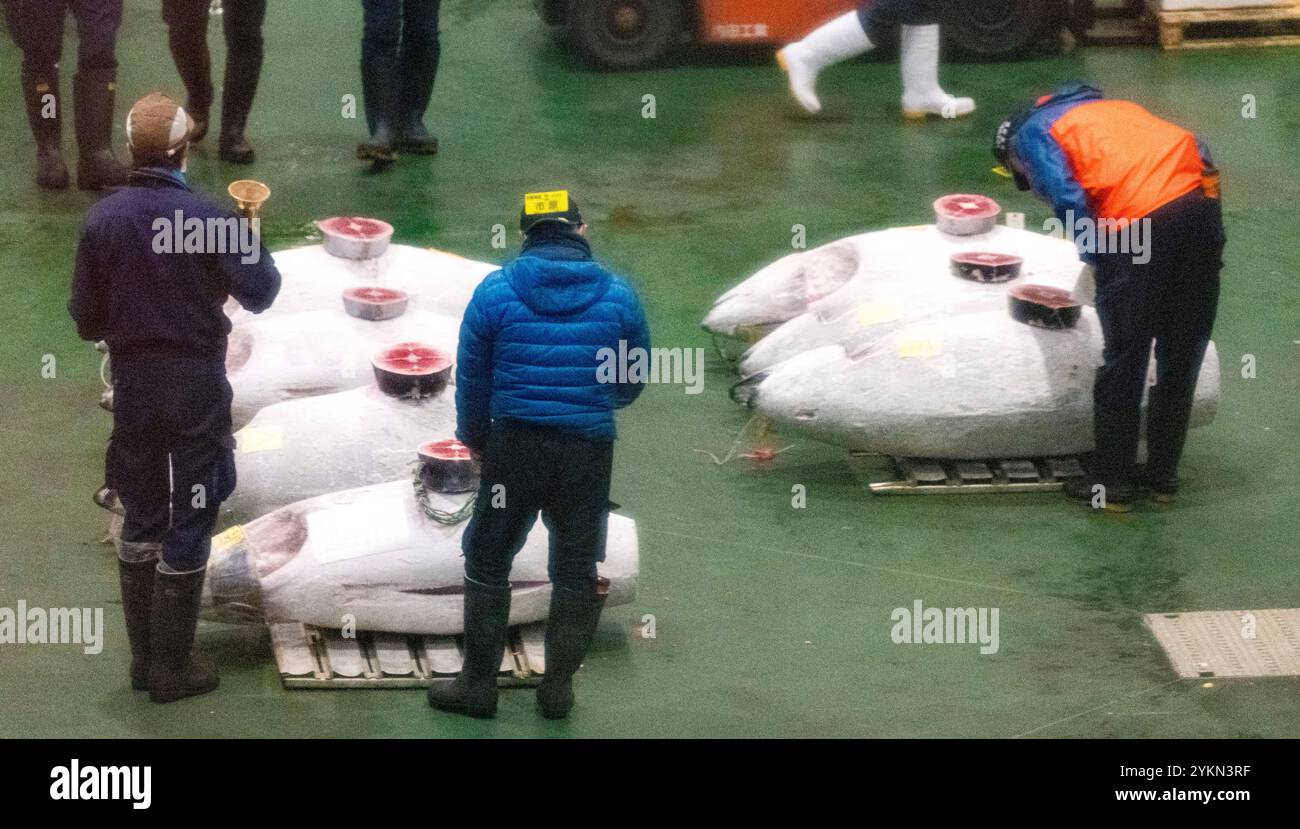 Fischer bewerten große Thunfische am Hafen, umgeben von Marktaktivitäten Stockfoto