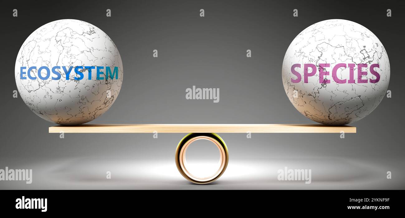 Ökosystem und Arten im Gleichgewicht. Eine Metapher, die das Ökosystem im Gleichgewicht mit den Arten zeigt und die gewünschte Harmonie zwischen ihnen symbolisiert. Stabilität. Har Stockfoto