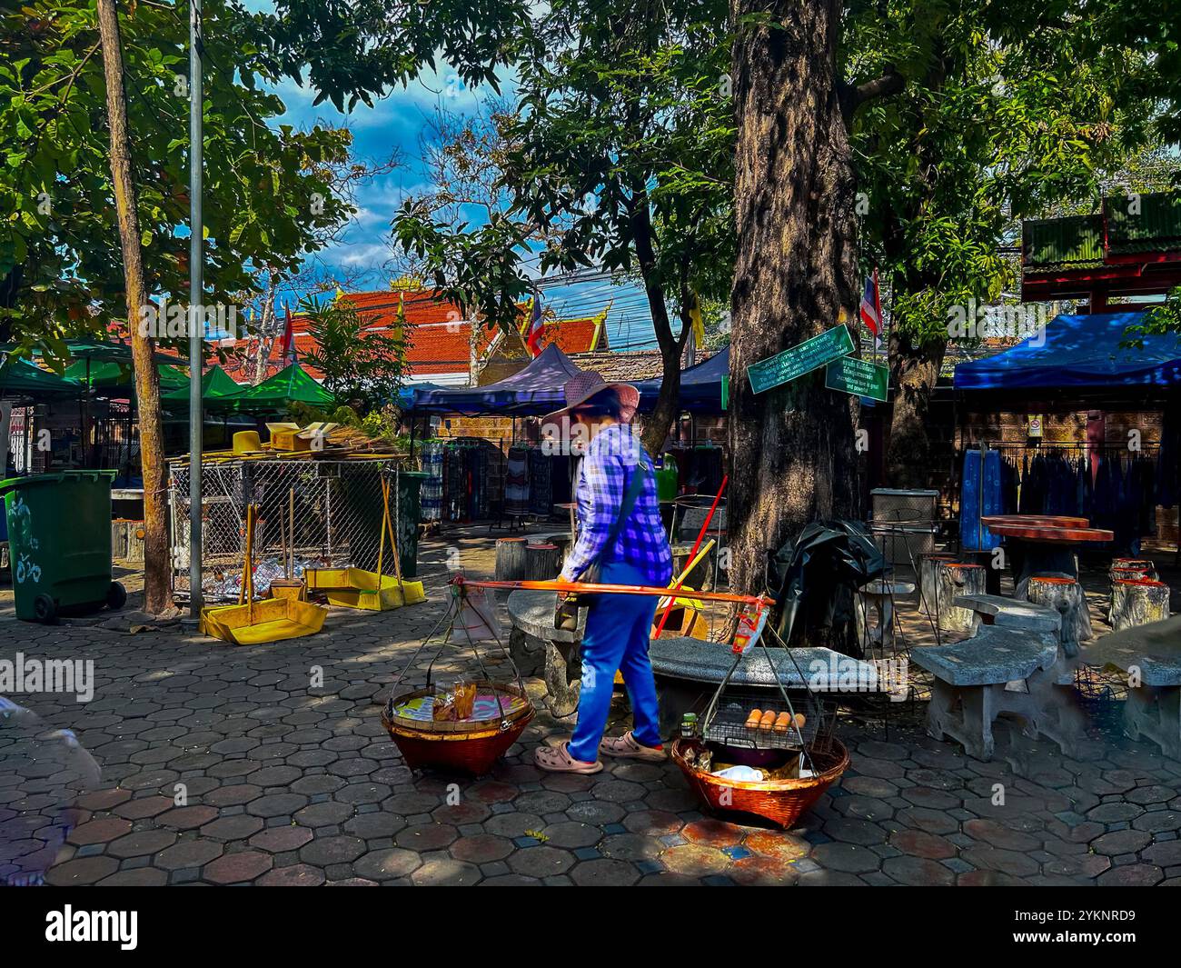 Chiang Mai, Thailand, Thailändische Frau, die lokale Speisen im öffentlichen Park verkauft, Outdoor Street Food, thailändische Straßenverkäufer Stockfoto