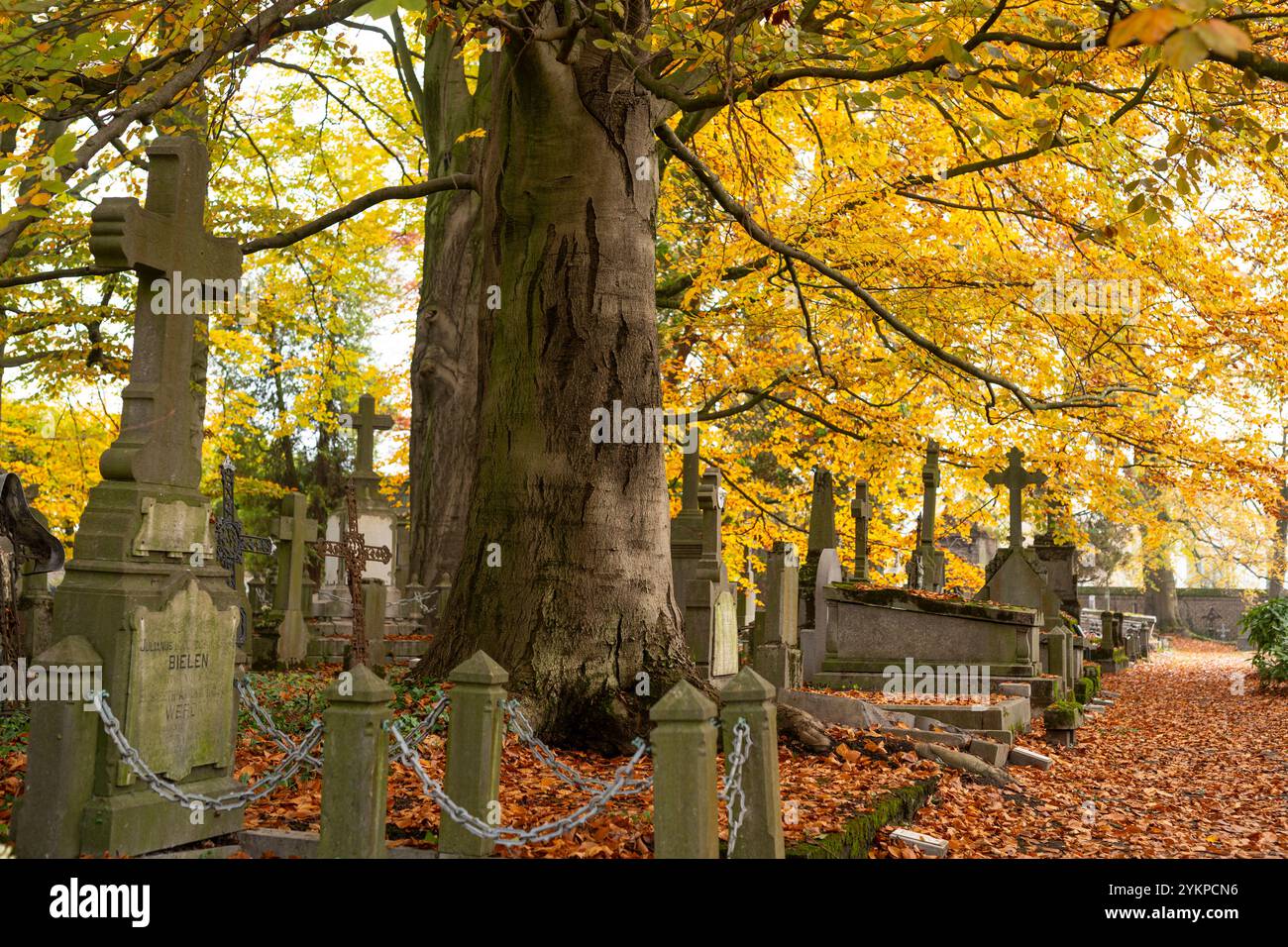 Alte Friedhofsstadt Hasselt in Belgien Stockfoto