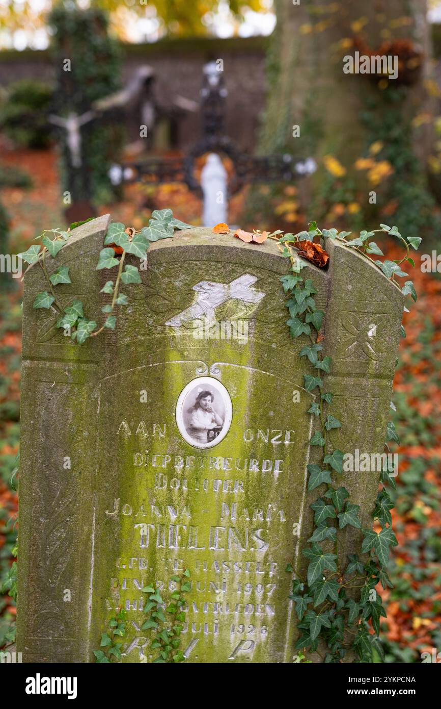Alte Friedhofsstadt Hasselt in Belgien Stockfoto