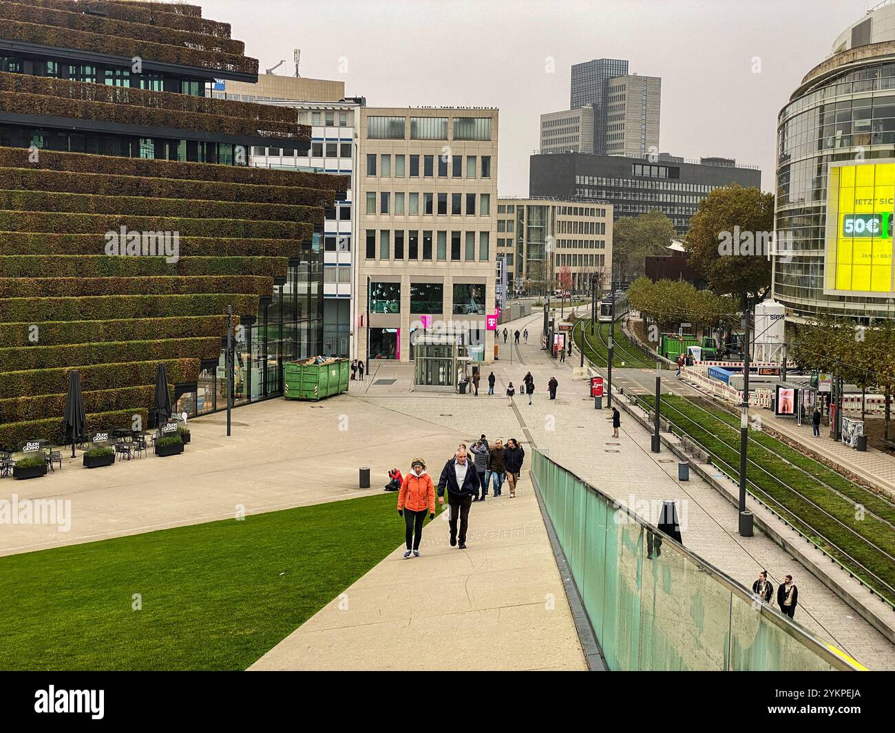 Ein mit Hainbuchen bepflanztes Haus mitten in der City von Düsseldorf. Stockfoto