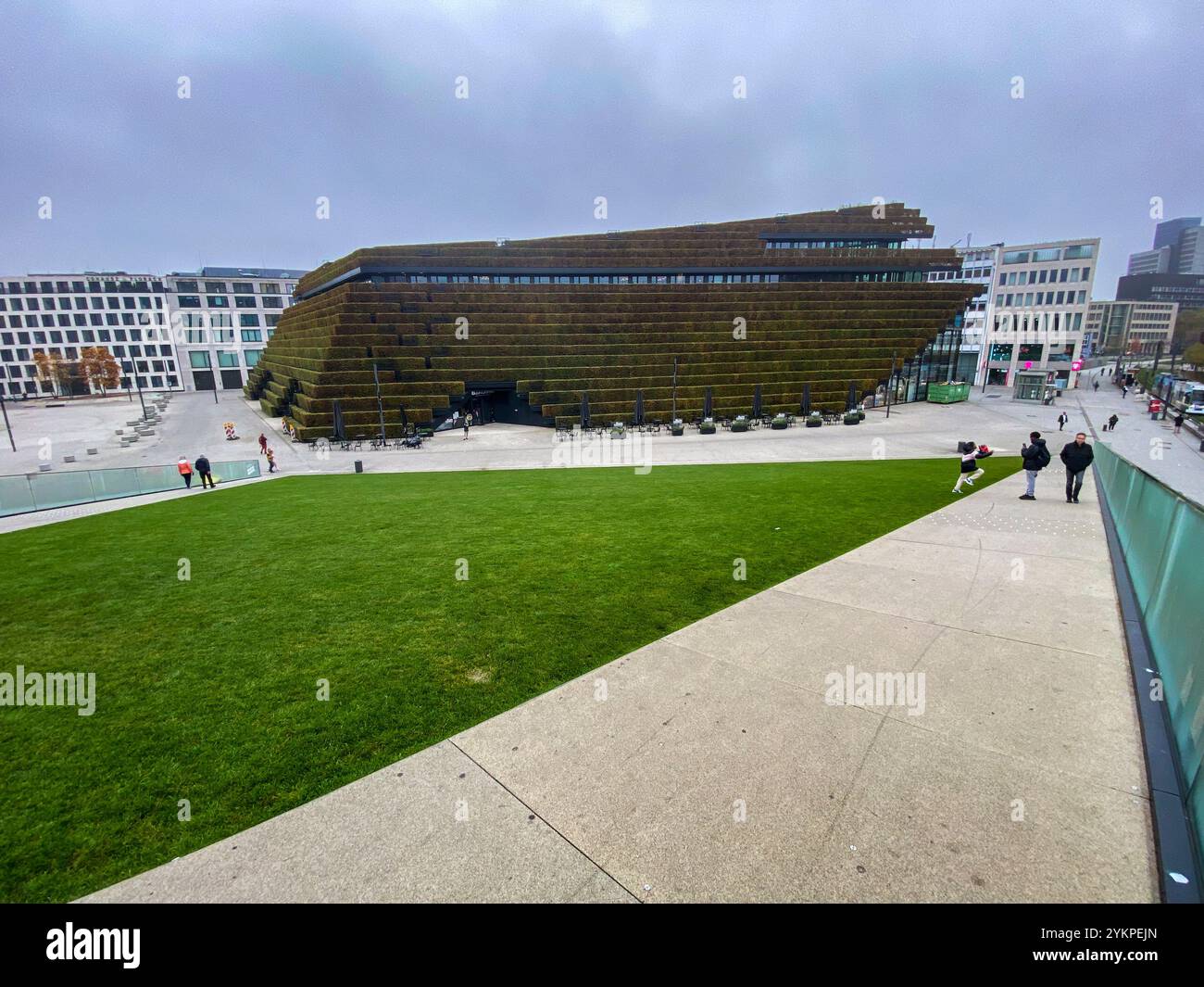 Ein mit Hainbuchen bepflanztes Haus mitten in der City von Düsseldorf. Stockfoto