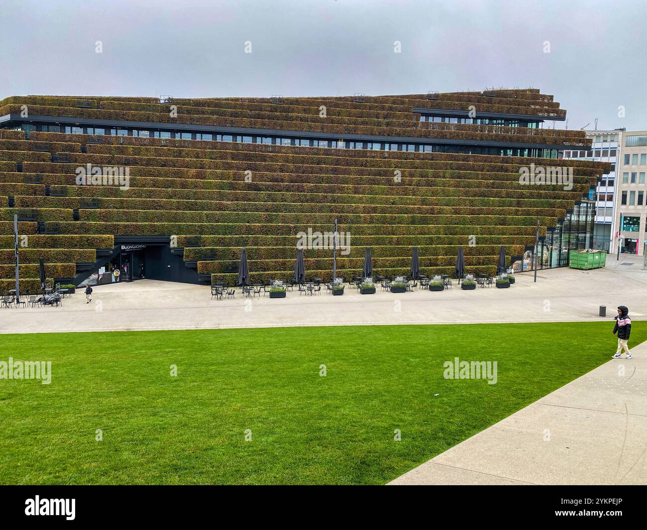 Ein mit Hainbuchen bepflanztes Haus mitten in der City von Düsseldorf. Stockfoto