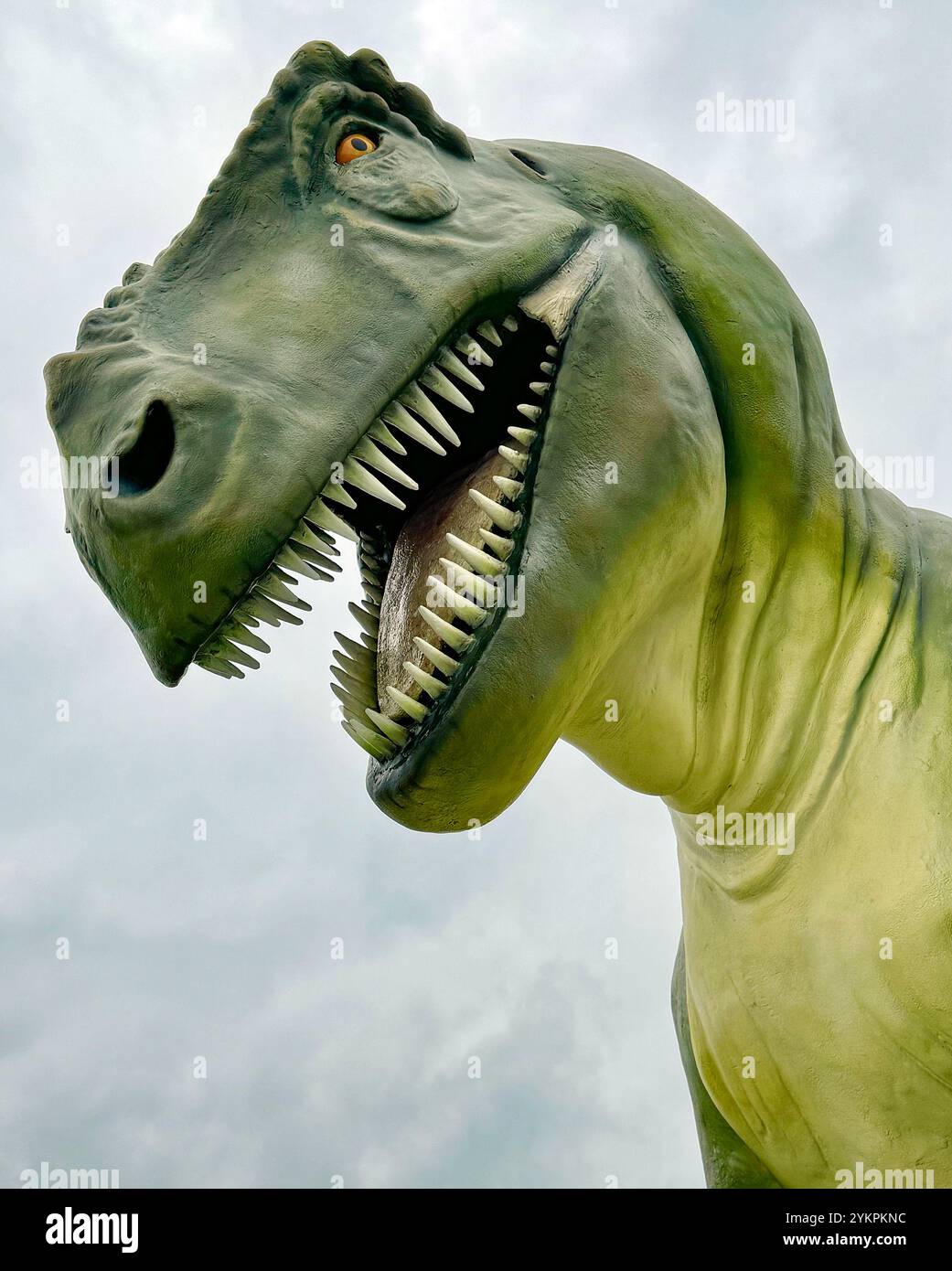 Lebensgrössenmodell eines Tyrannosaurus Rex - ein Spitzenräuber aus der Kreidezeit. Stockfoto