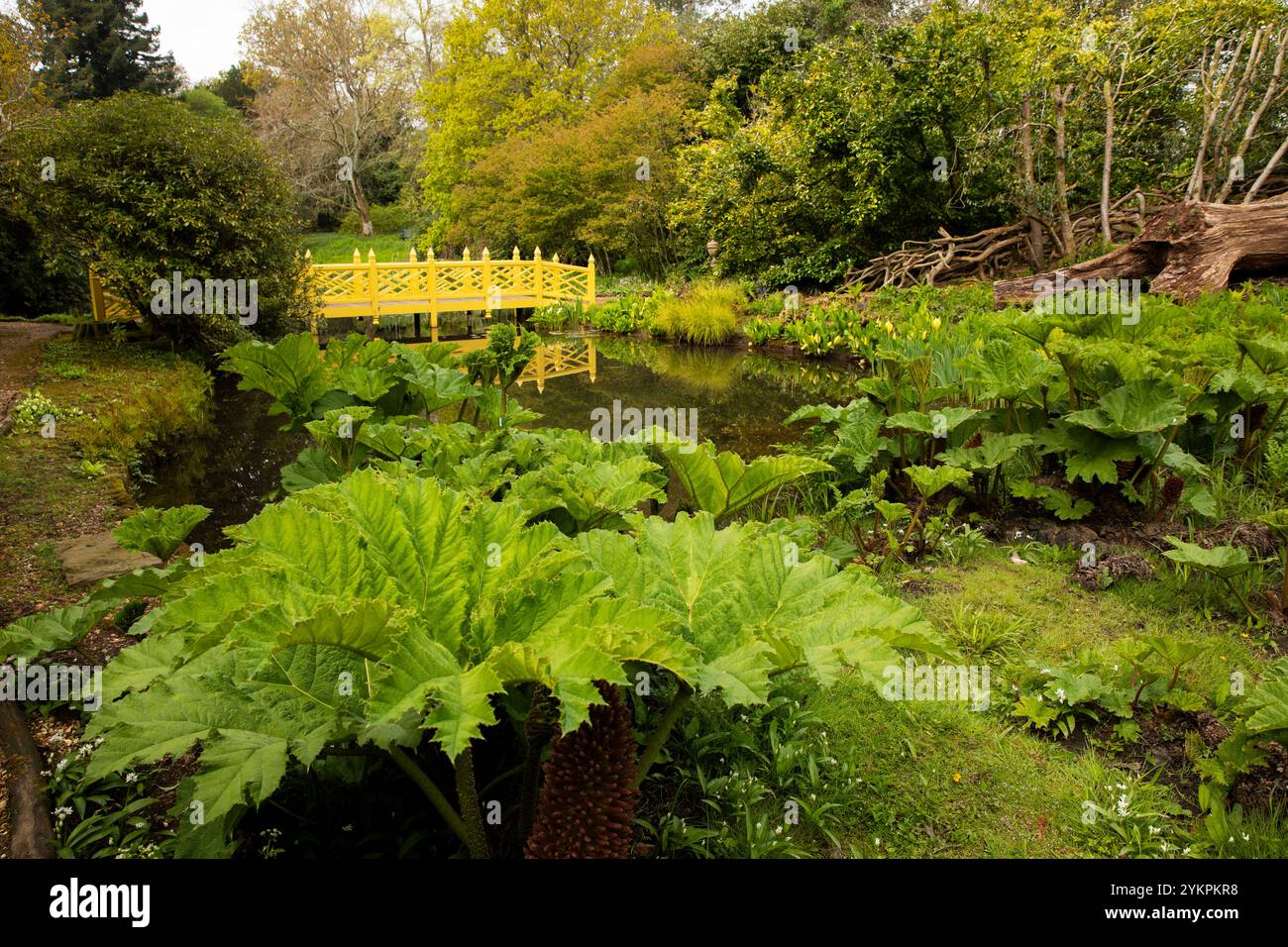 Großbritannien, England, West Sussex, Midhurst, Woolbeding Gardens, chinesische Brücke im Long Walk Garden Stockfoto