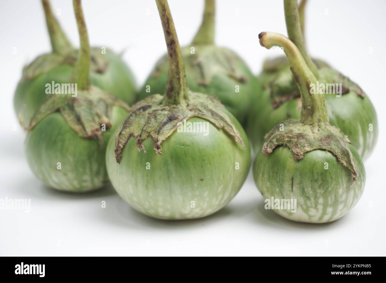Grüne Aubergine isoliert auf weißem Hintergrund Stockfoto