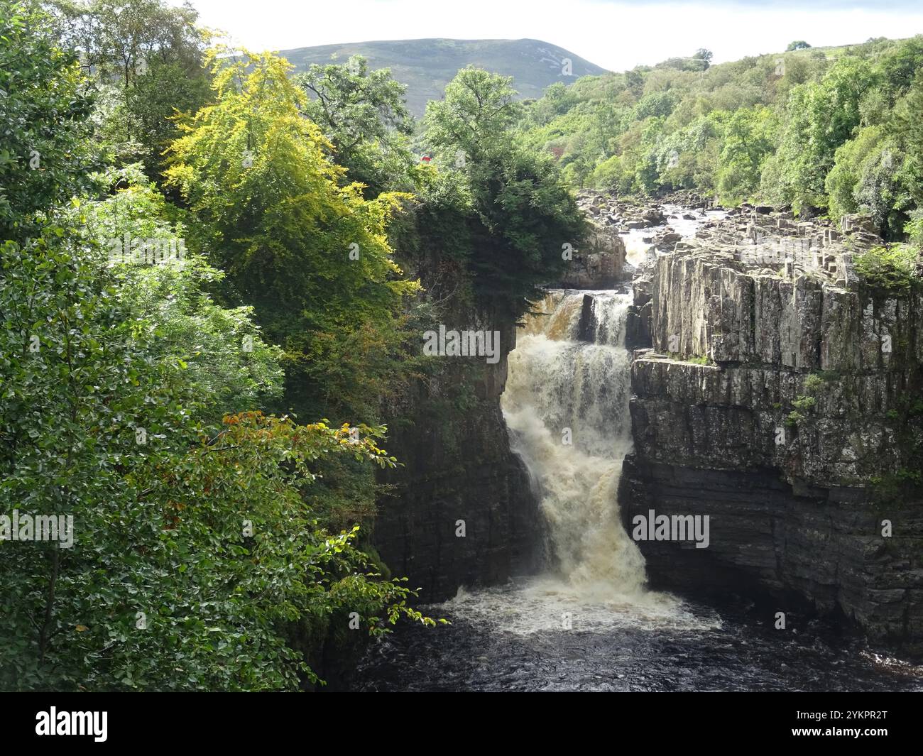 High Force Wasserfall am Fluss Tees, Forest in Teesdale in Durham Stockfoto