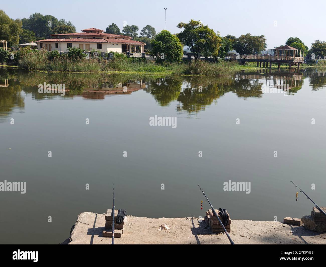 Fische für Nahrung fangen - Smartphone-aufgenommenes Stockfoto