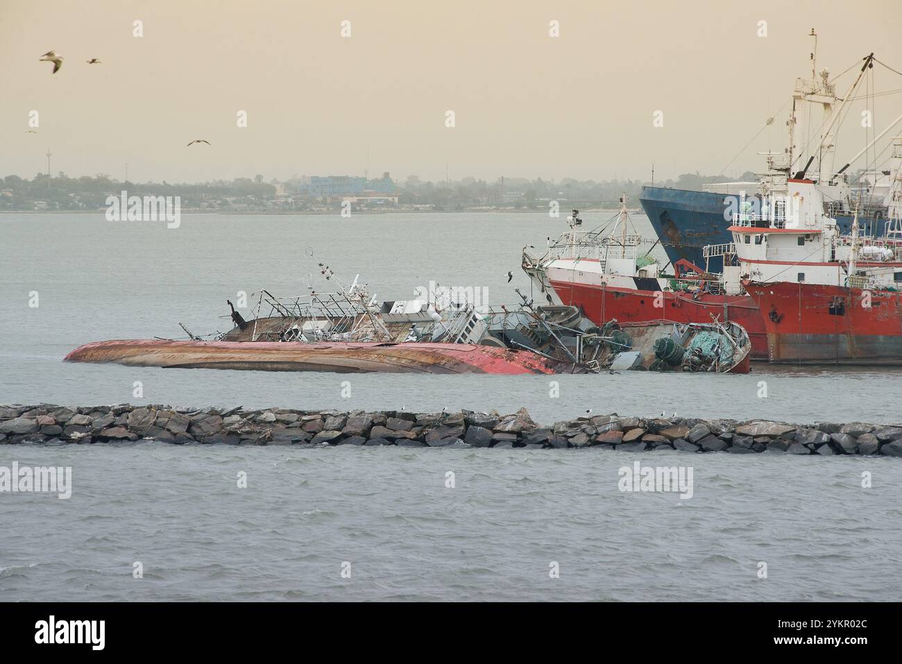 Kenterte Schiffe an der Küste mit Vögeln, die überfliegen Stockfoto