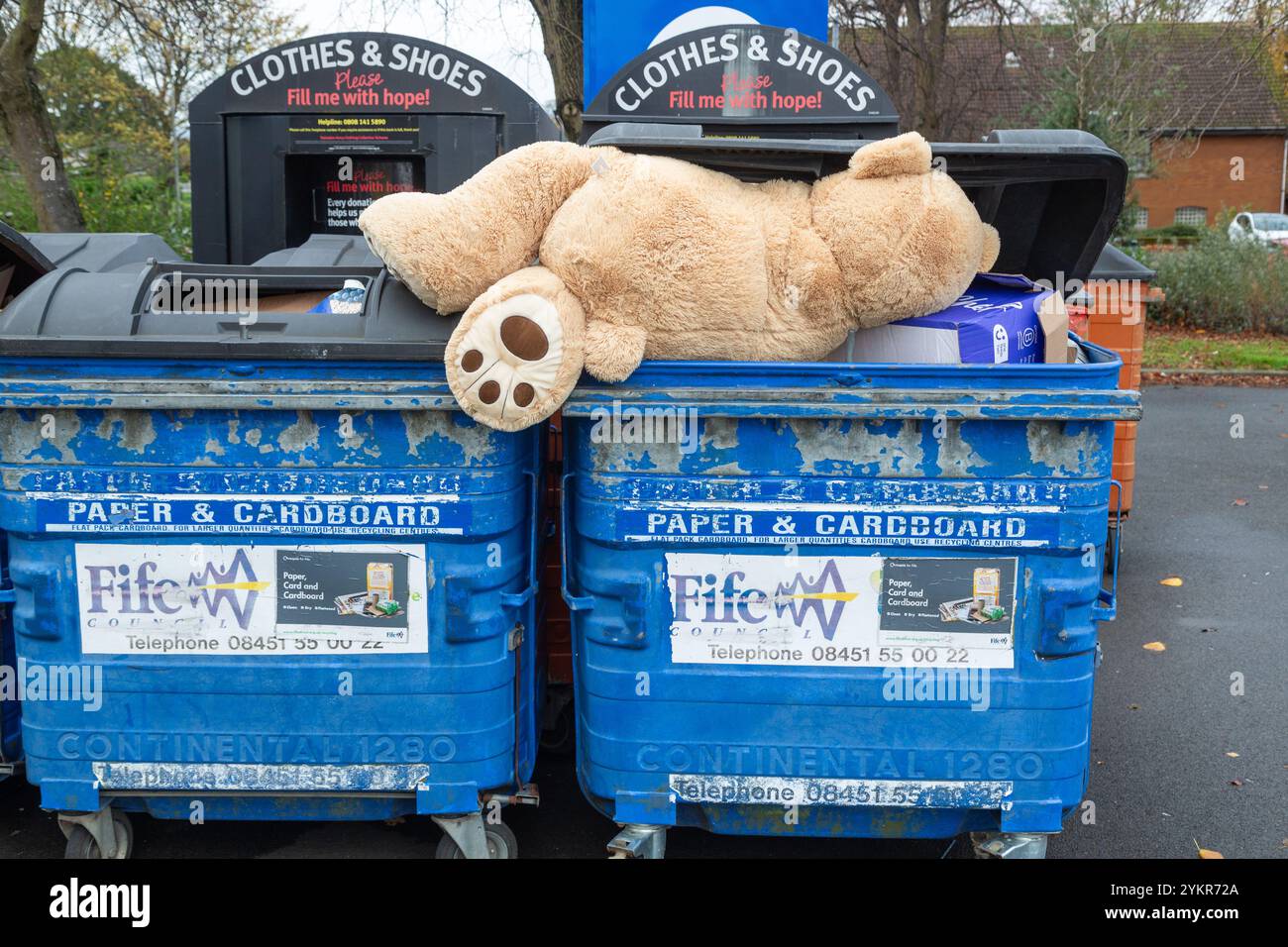Ein großer Teddybär, der in einem Papierkorb aus Papier und Pappe weggeworfen wird Stockfoto