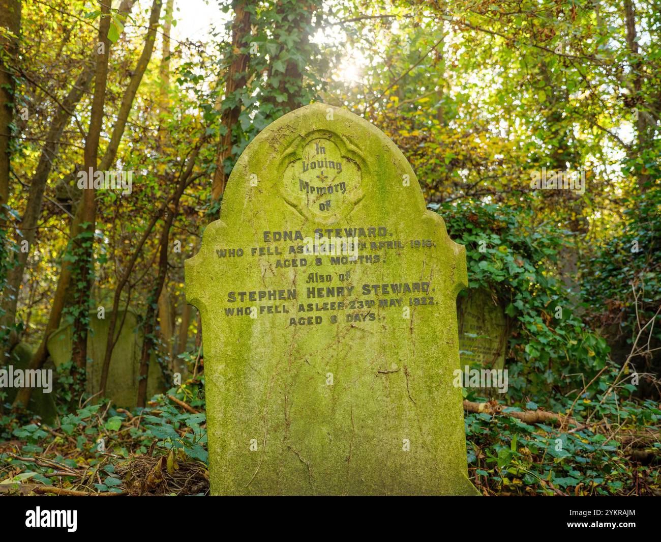 Grabstein von Kleinkindern und Kindern, die jung auf dem Abney Park Cemetery, Hackney, London, Großbritannien, gestorben sind Stockfoto