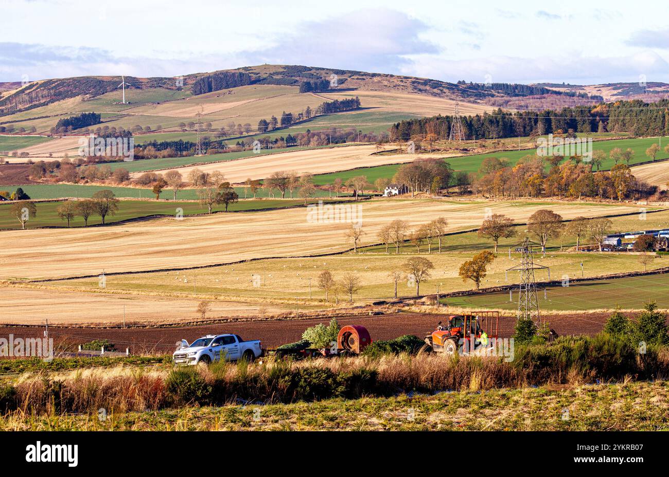 Dundee, Tayside, Schottland, Großbritannien. November 2024. Wetter in Großbritannien: Die kalte und helle Novembersonne zusammen mit etwas Bodenfrost schafft eine herrliche Spätherbstlandschaft im Dundee Strathmore Valley und Sidlaw Hills in Schottland. Quelle: Dundee Photographics/Alamy Live News Stockfoto