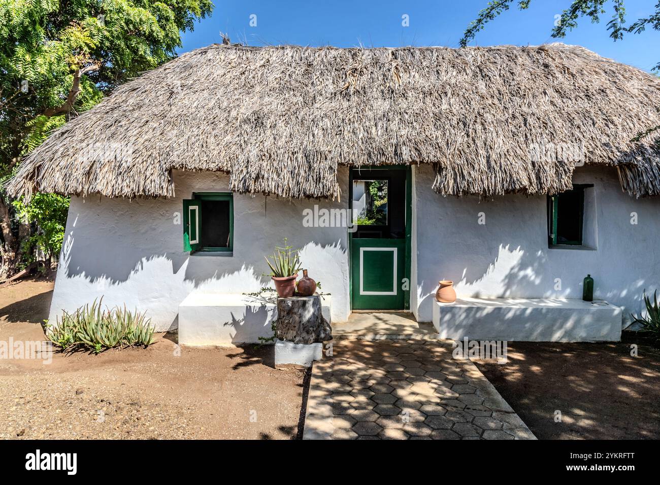 Kas di PAL'i Maishi ist ein traditionelles lehmhaus mit einem Strohdach, das vor etwa 130 Jahren erbaut wurde. Es veranschaulicht die ländliche Lebensweise Afro-Curacao bis 1950. Der Bau geht auf den Anfang des 17. Jahrhunderts zurück und fällt mit der Ankunft der ersten versklavten Afrikaner zusammen. Pal'i Maishi beherbergt ein kleines Museum mit typischen Haushaltsgegenständen aus dieser Zeit. Kas di Pal'i maishi - Kunuku-Haus. Dokterstuin, Curacao, Curacao, Kòrsou Stockfoto