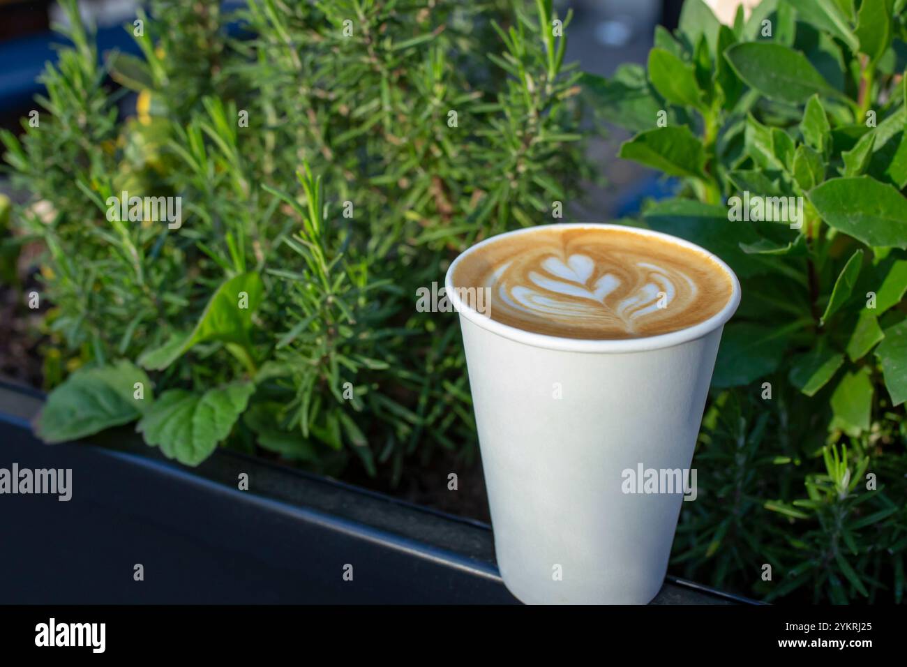 Latte Art Herzform in einer Einweg-Kaffeepapierbecher mit Rosmarin- und Lorbeerblättern, Topfpflanzen, Kopierraum Stockfoto