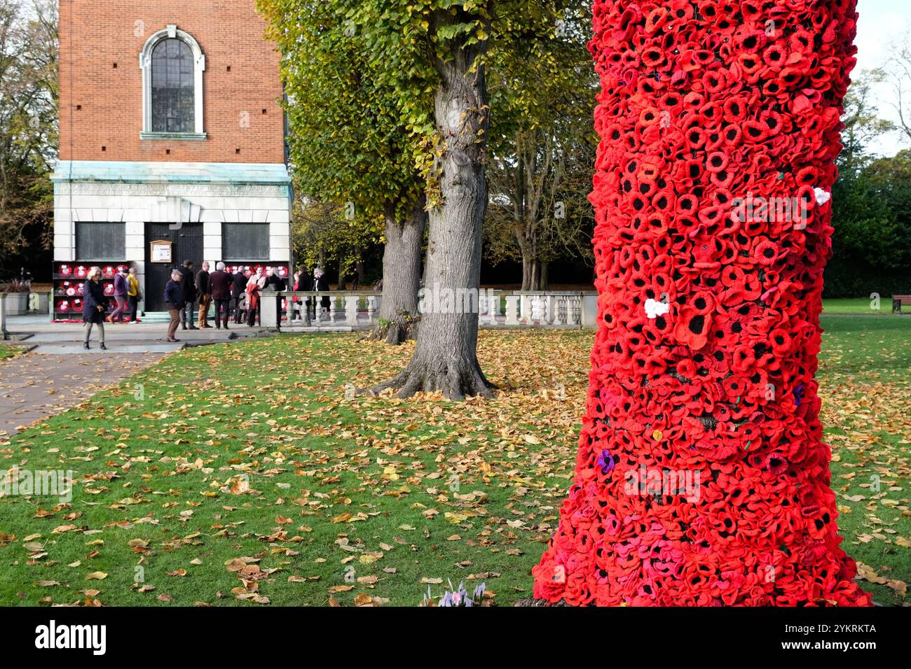 Baum mit gestricktem Mohn im Queens Park loughborough Stockfoto