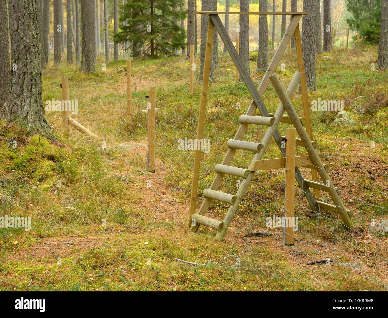 Überqueren Sie den elektrischen Zaun im Naturschutzgebiet Stockholm Schweden Stockfoto