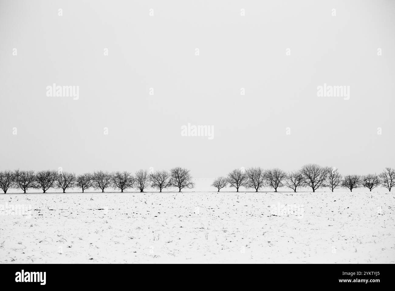ÖSTERREICH / Lutzmannsburg / 15.12.2018 / © Alexander Magedler Stockfoto