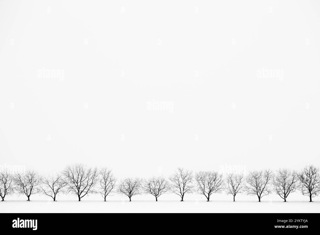 ÖSTERREICH / Lutzmannsburg / 15.12.2018 / © Alexander Magedler Stockfoto