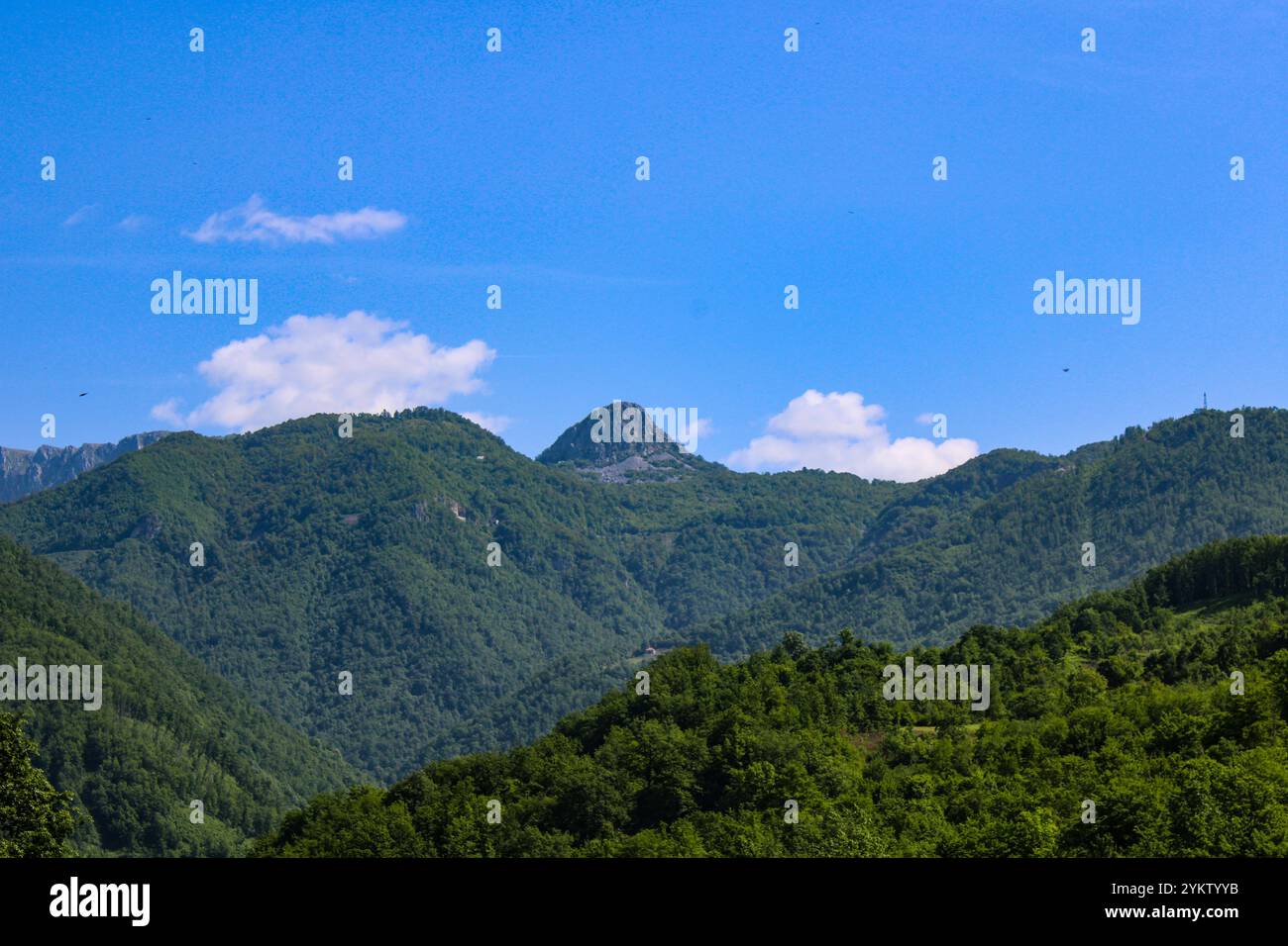 Montenegrinische Berge bedeckt mit grünem Wald, Berggipfel sind im Hintergrund sichtbar, blauer Himmel mit Wolken. Sommer Naturlandschaft Stockfoto