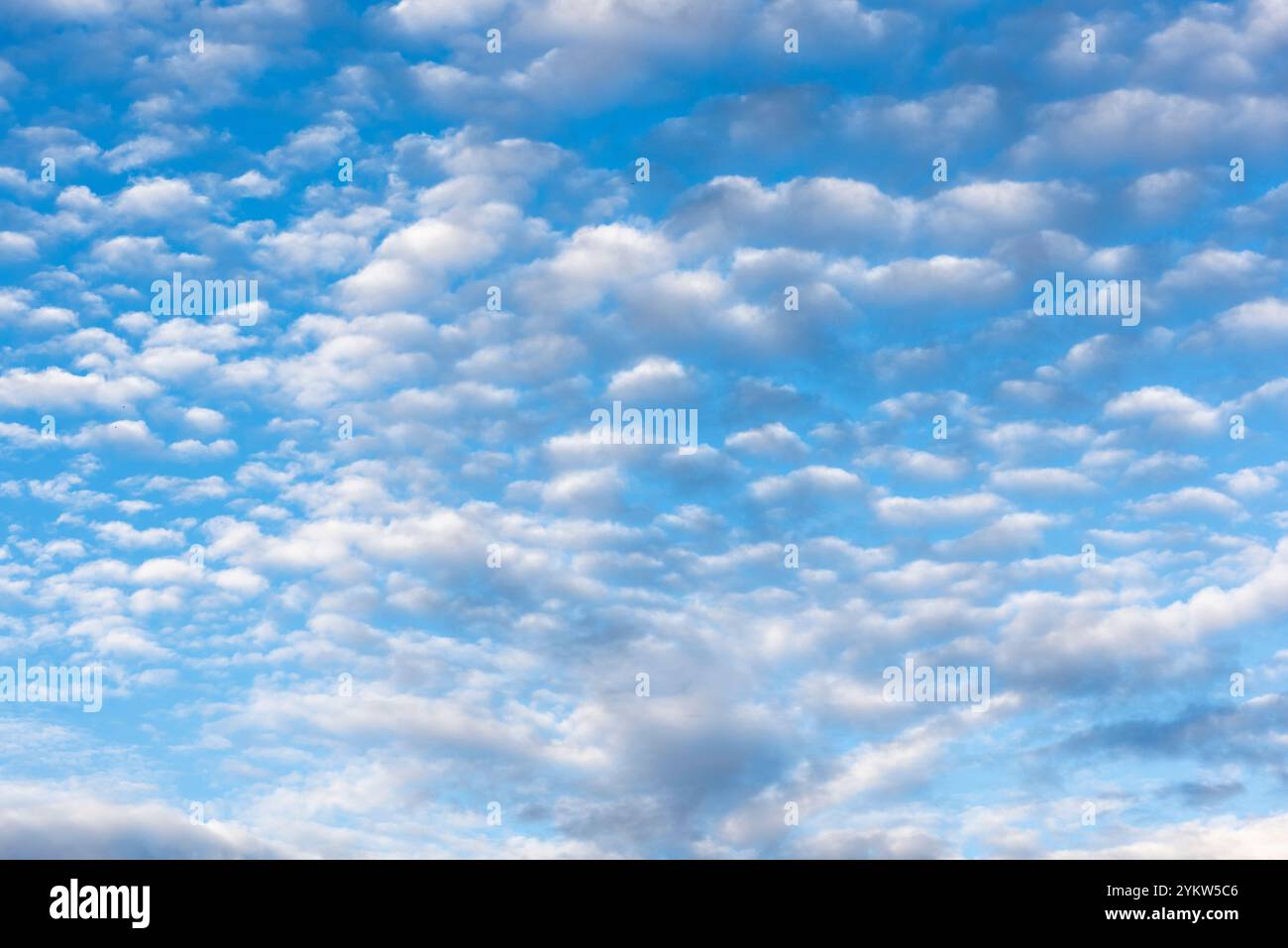 Diferentes formaciones de nubes en el cielo azul por la tarde Stockfoto