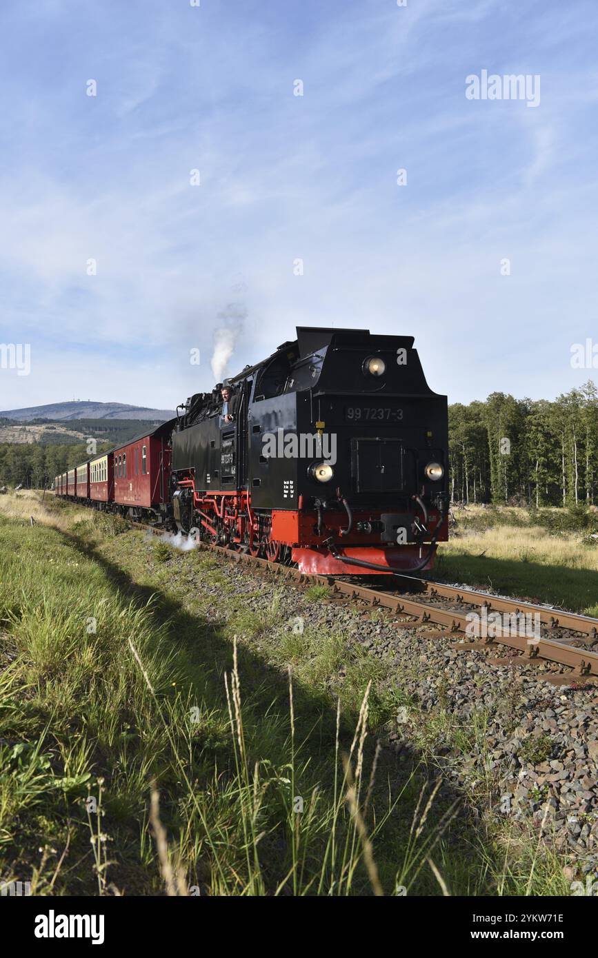 Die Brockenbahn der Harzer Schmalspurbahn führt durch den Harz in Sachsen-Anhalt, Deutschland, Europa Stockfoto