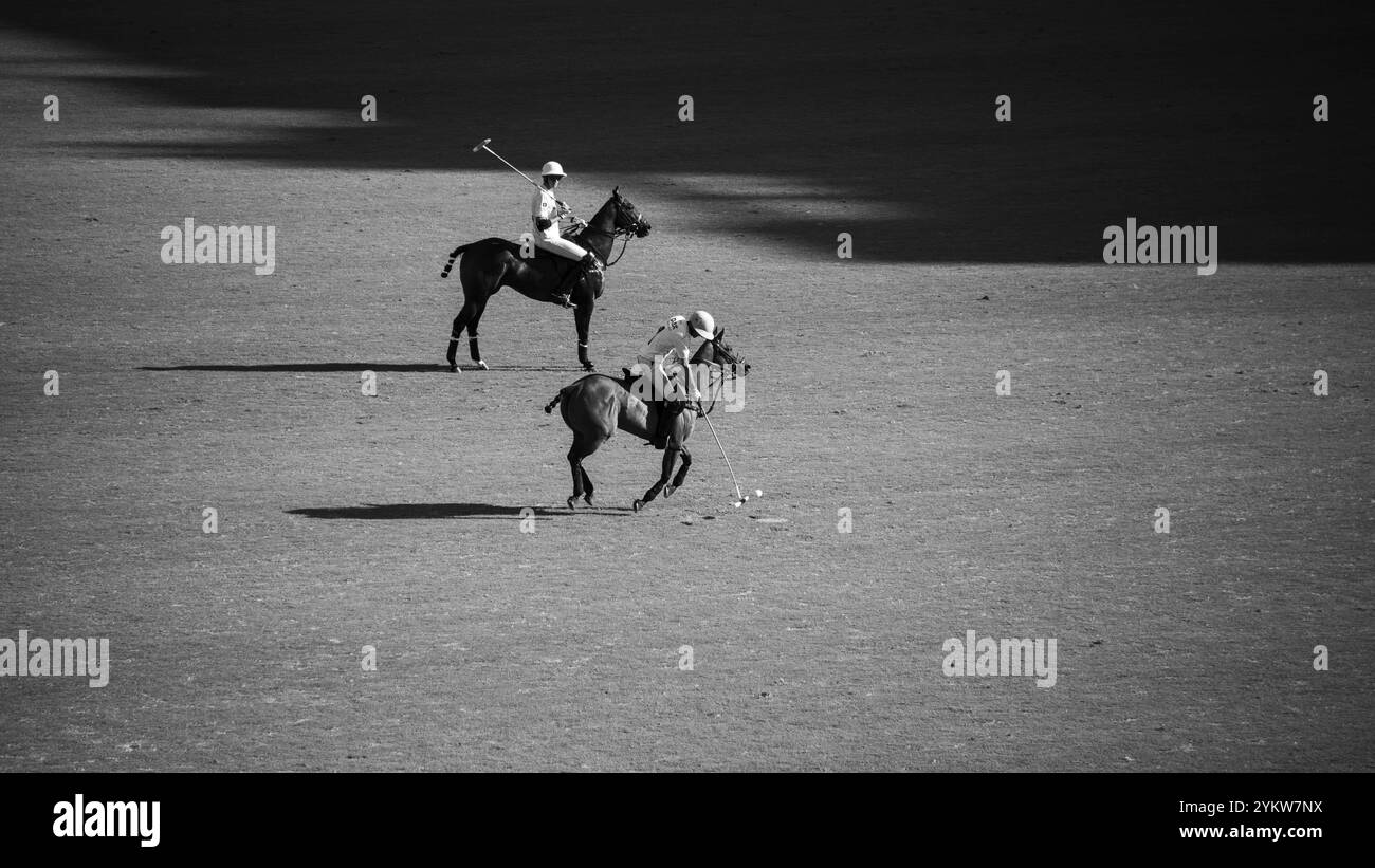 Szene aus der 131. Argentine Open Polo Championship (Spanisch: Campeonato Argentino Abierto de Polo), dem wichtigsten internationalen Polo-Tournamen Stockfoto