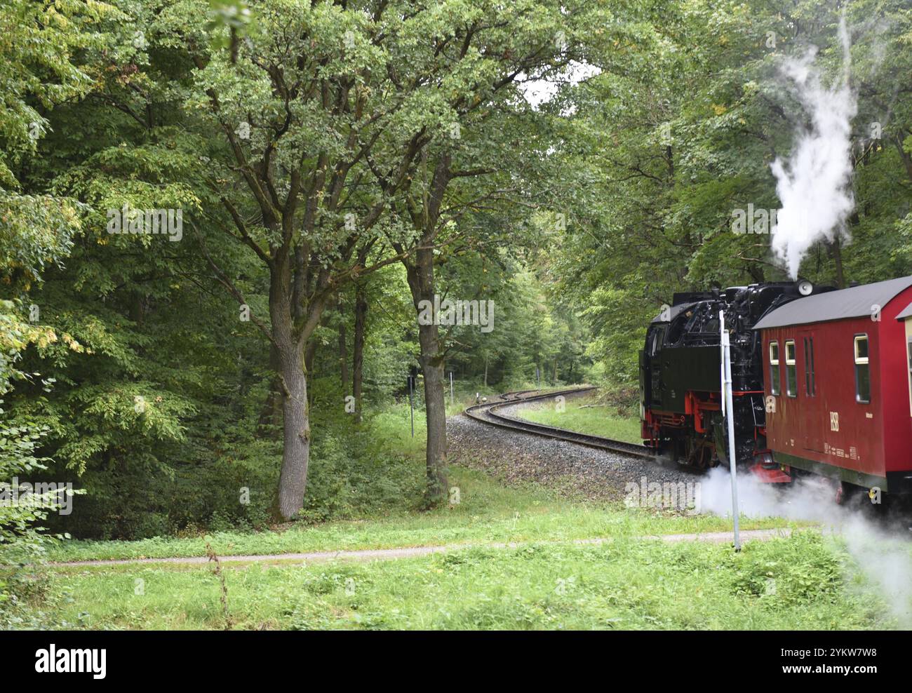 Die Selketalbahn, Harzer Schmalspurbahn, Brockenbahn führt durch den Harz, Sachsen-Anhalt, Deutschland, Europa Stockfoto