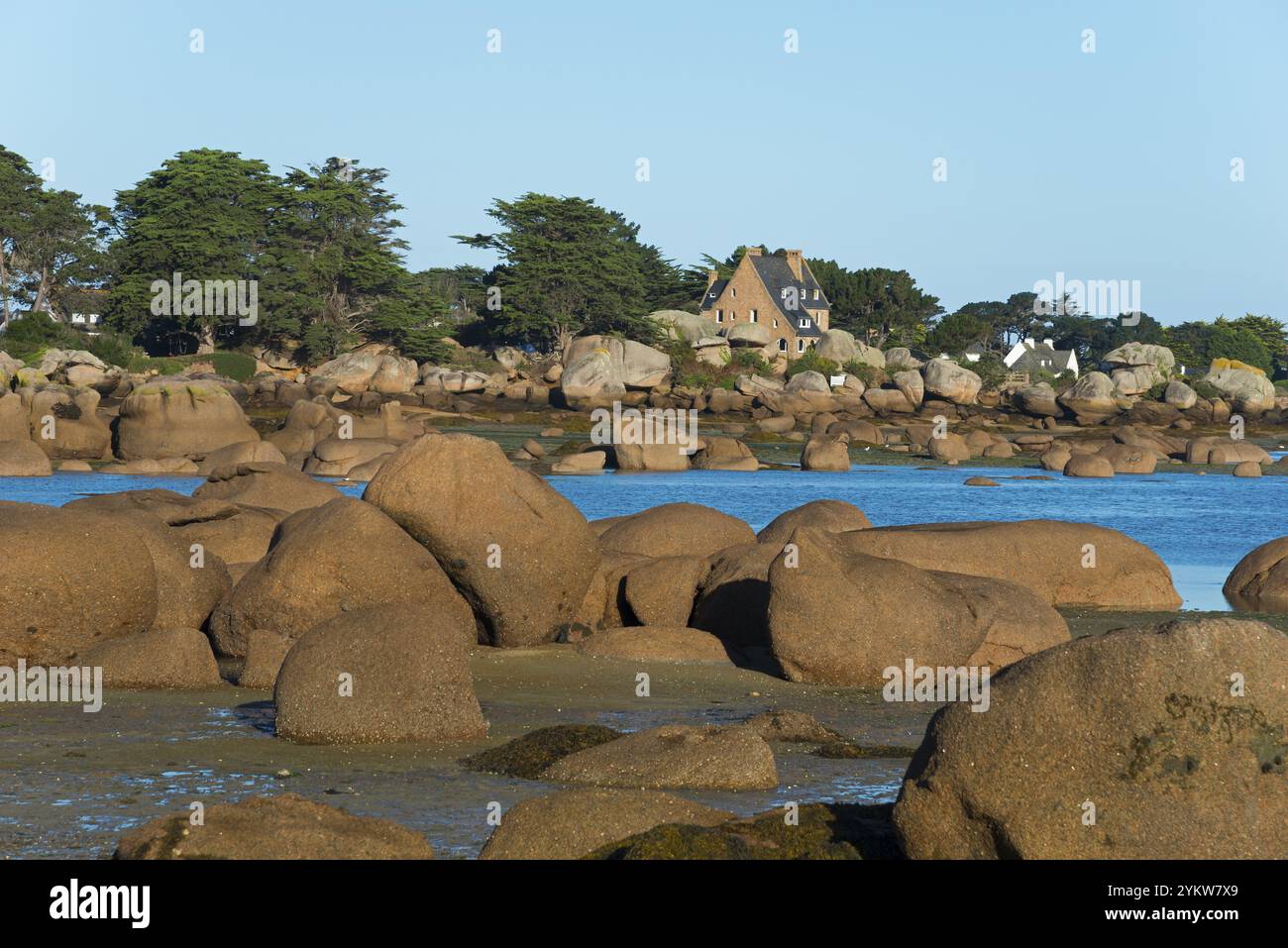 Felsige Küstenlandschaft mit Häusern und Bäumen am Meer, Baie de Sainte-Anne, Tregastel, Tregastel, Cote d'Armor, Bretagne, Frankreich, Europa Stockfoto