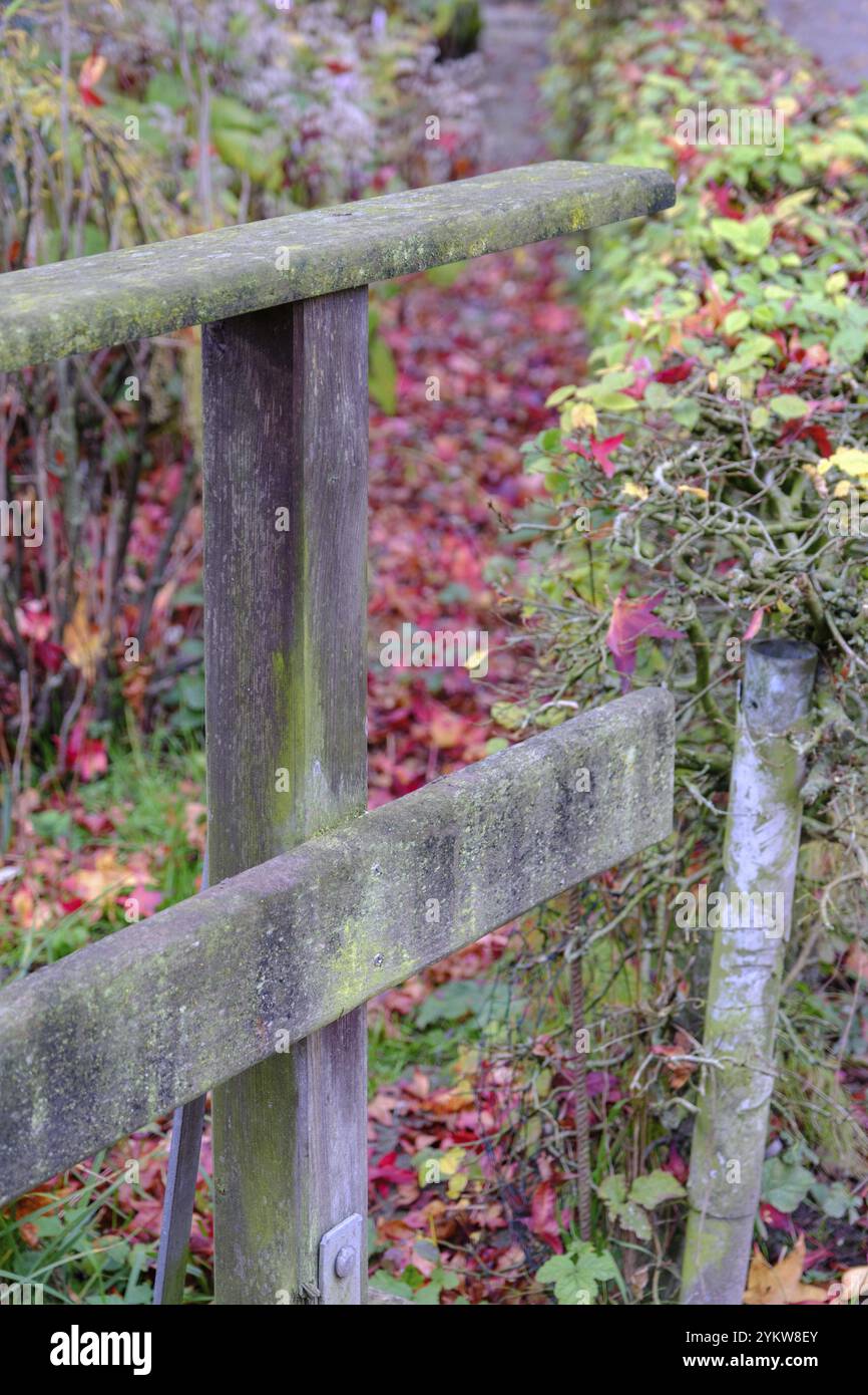 Verwitterter Holzzaun mit bunten Herbstblättern auf einem ruhigen Pfad, weseke, münsterland, deutschland Stockfoto