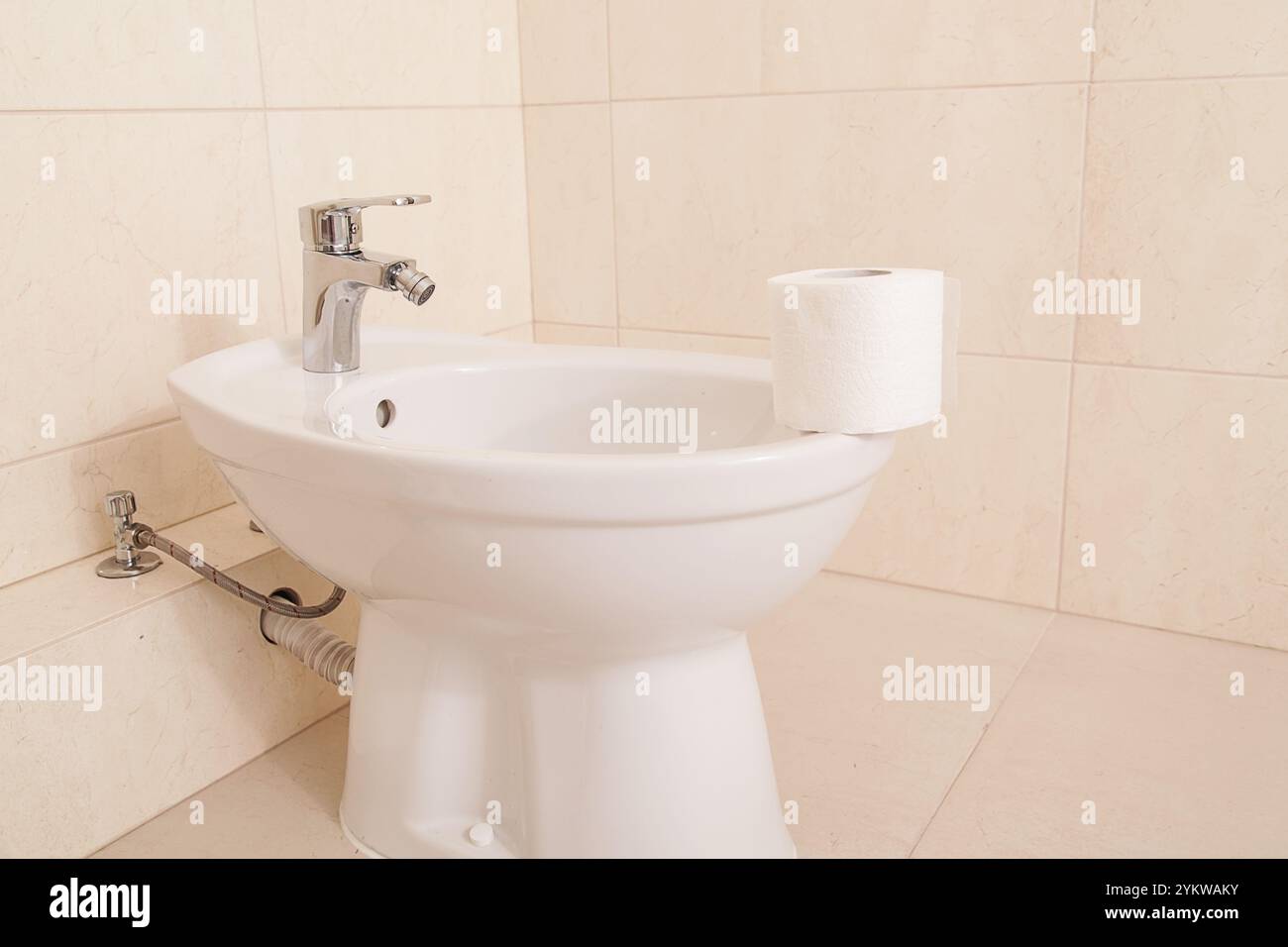 Toilettenpapier und Bidet, Bidet-Dusche oder Toilettenpapier Stockfoto