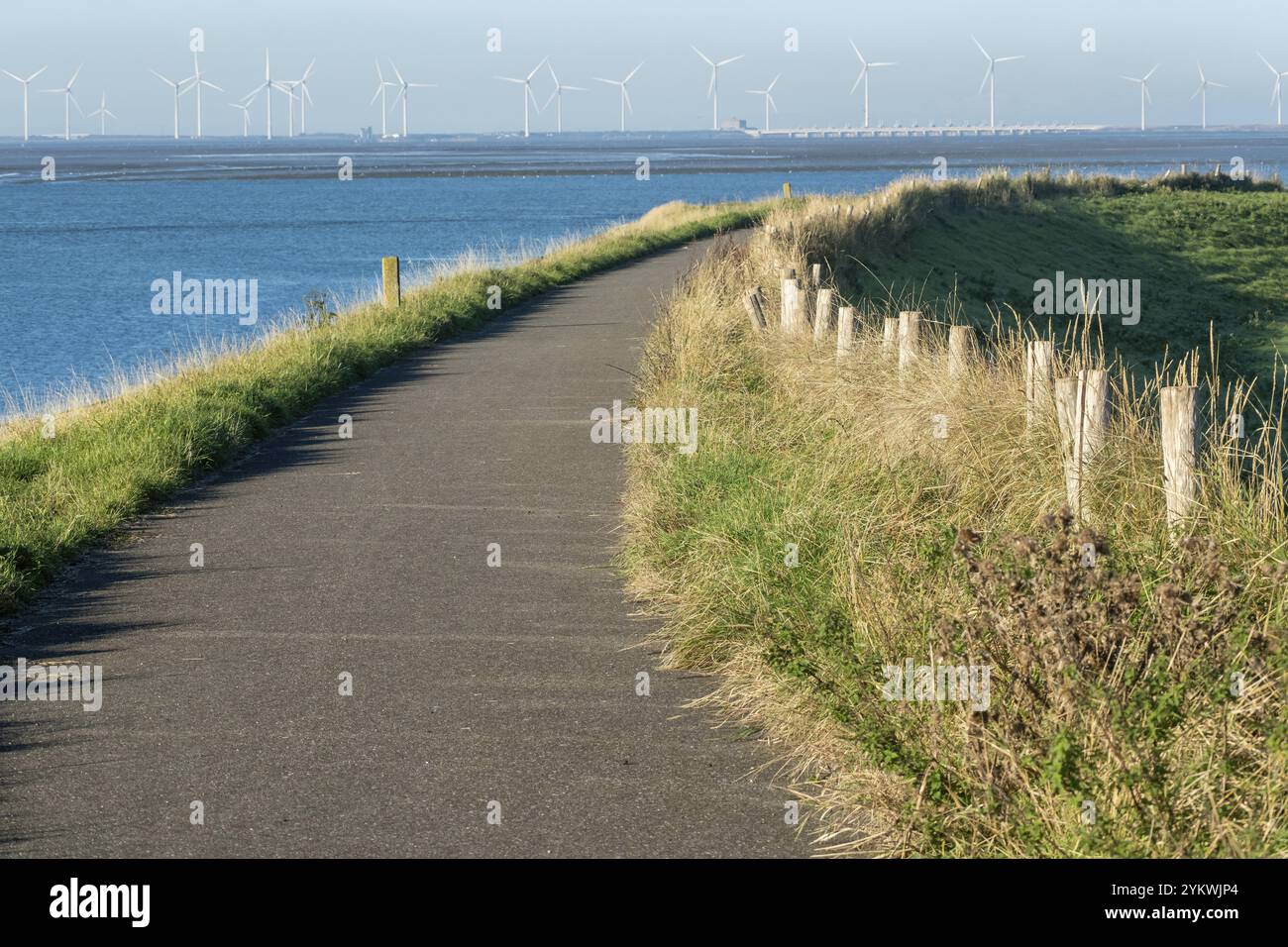 Pfad auf dem Deich, Windräder im Hintergrund Stockfoto