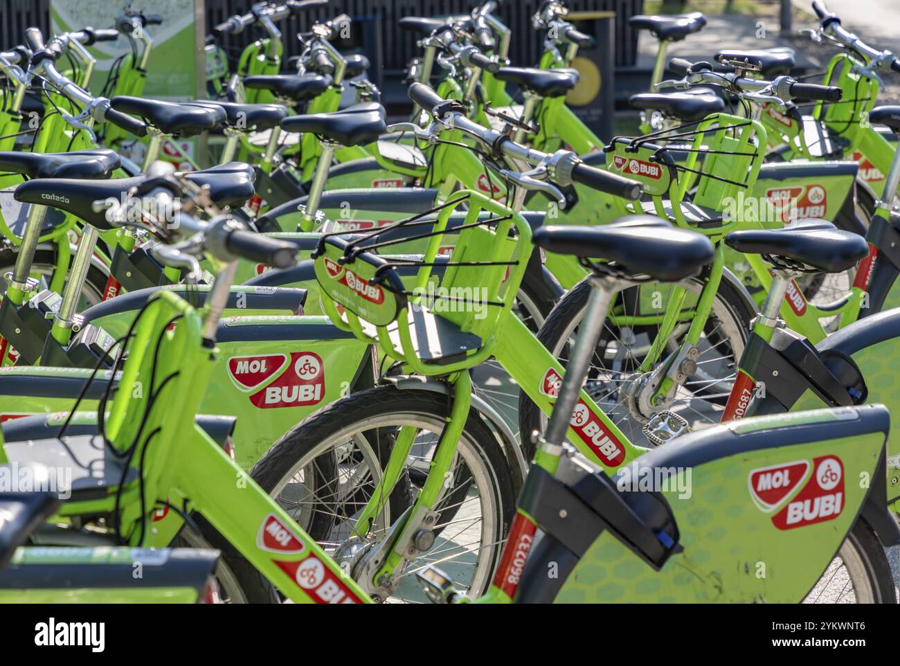 Ein Bild von mehreren MOL Bubi Fahrrädern in Budapest Stockfoto