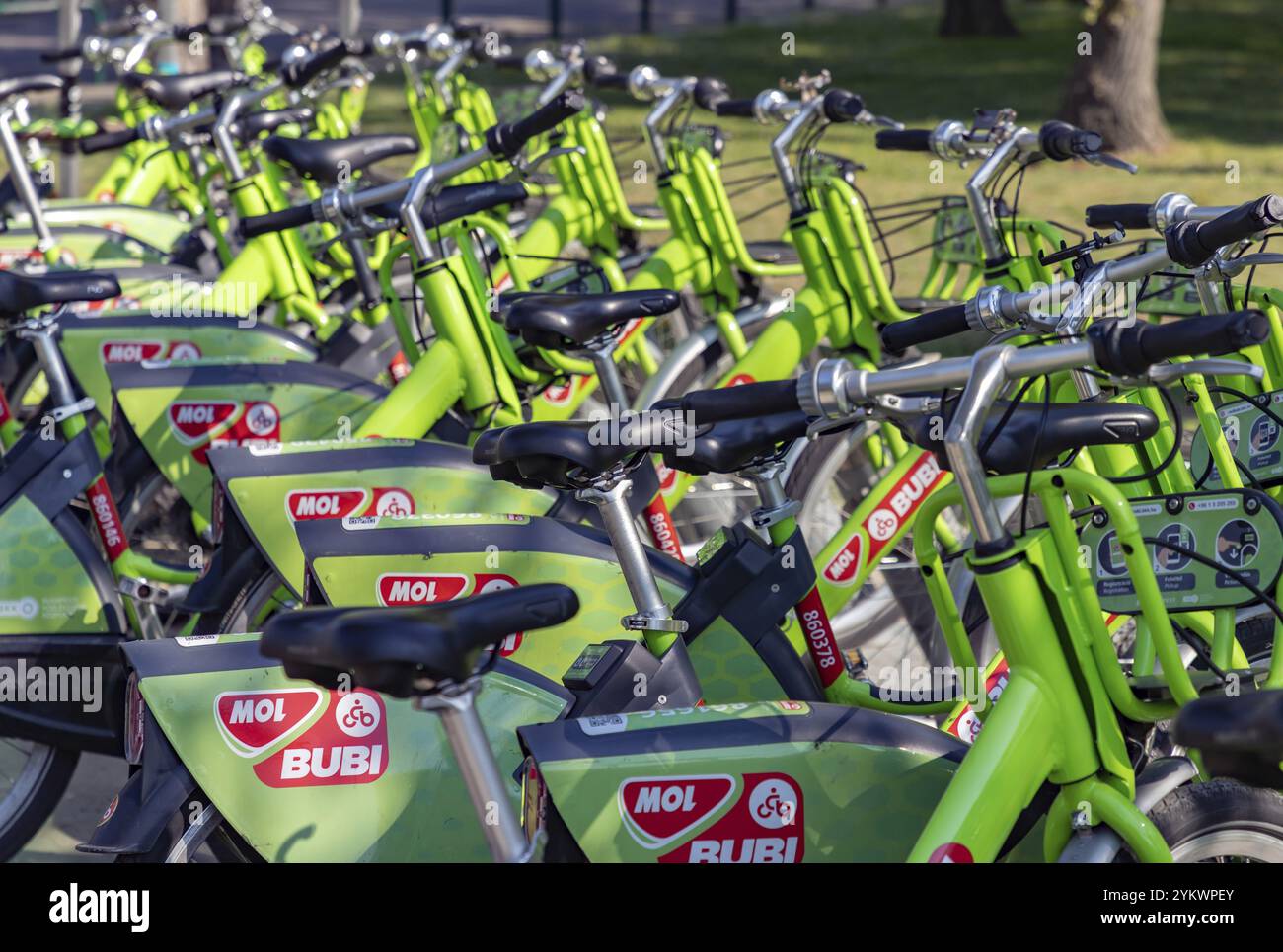 Ein Bild von mehreren MOL Bubi Fahrrädern in Budapest Stockfoto
