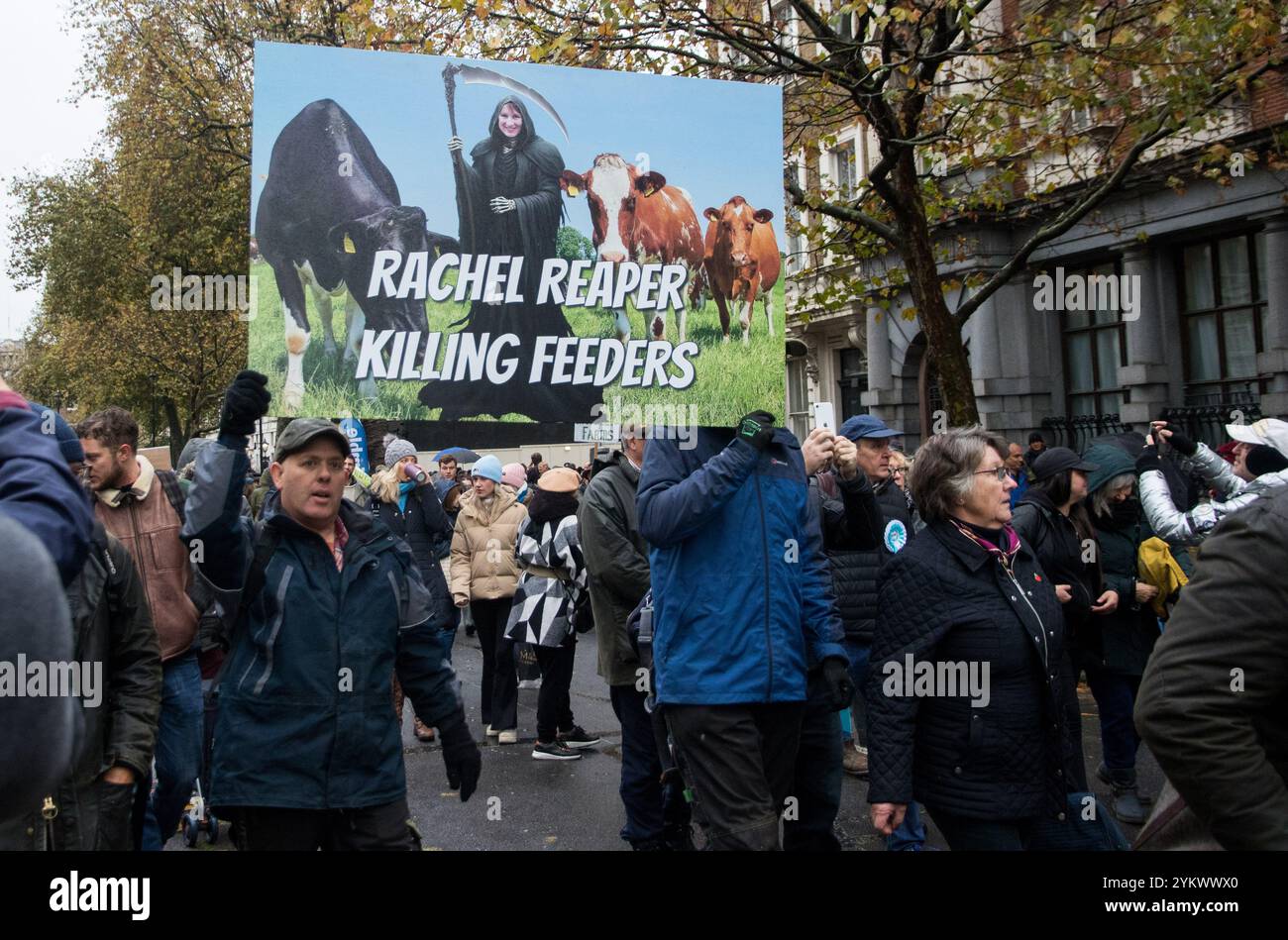 Westminster, London, Großbritannien. November 2024. Britische Landwirte kommen in Zentral-London zusammen, um gegen die Haushaltsänderungen der britischen Labour-Regierung zur Erbschaftssteuer für Landwirte zu protestieren. Die Proteste sagen, dass die Steuer verheerende Auswirkungen auf die Landwirtschaft haben wird. Kredit: Lactualité Paris 24h/Alamy Live News Stockfoto