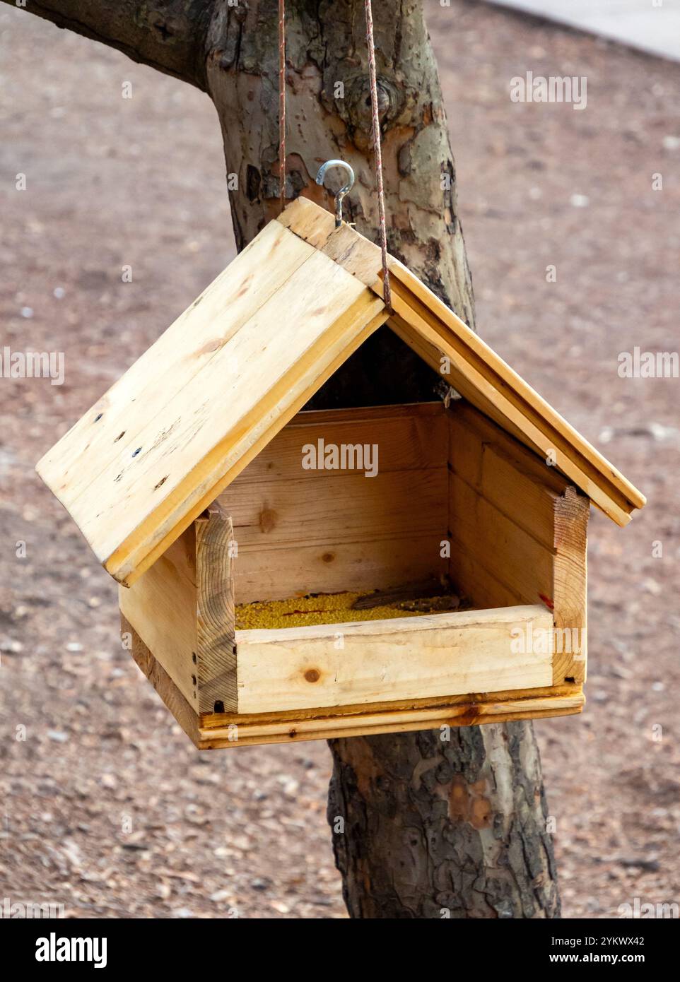 Vogelfutter aus Bodenplatten mit Nut und Feder Stockfoto