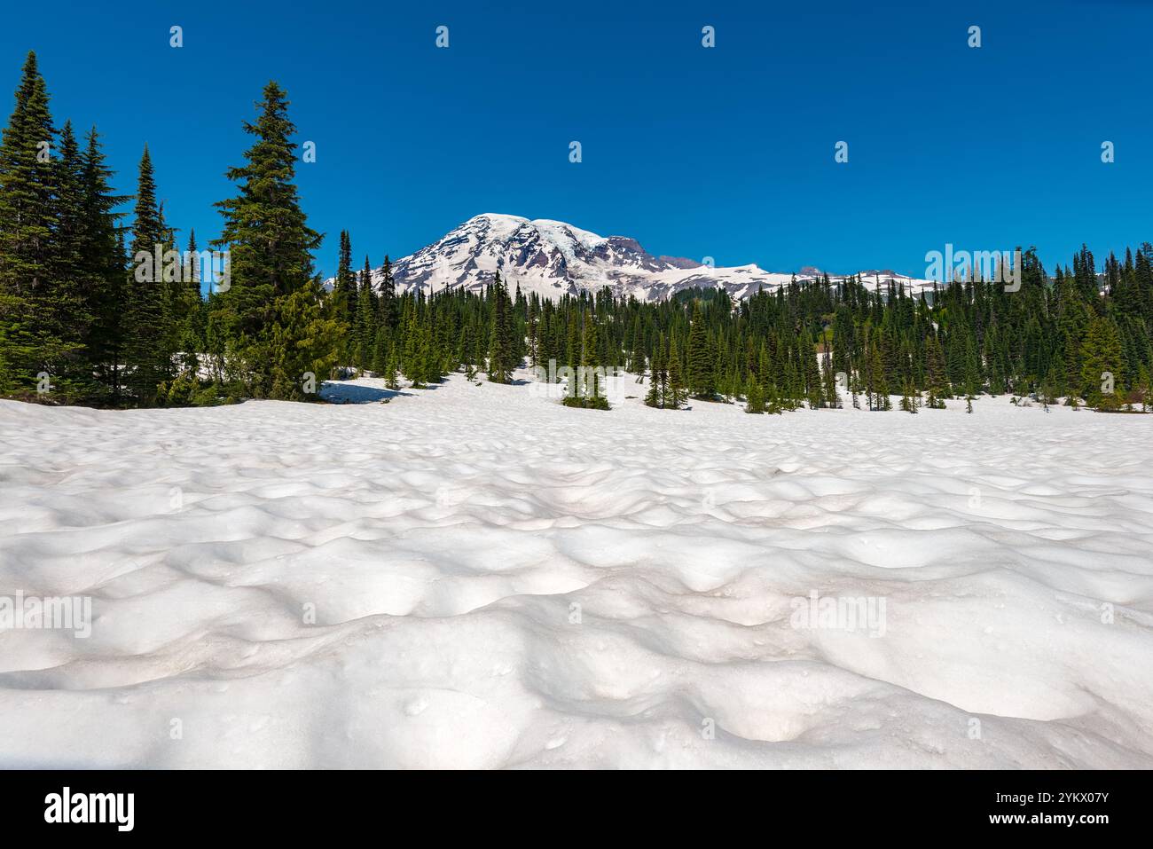 Mount Rainier im Mount Rainier National Park, Washington State, USA Stockfoto