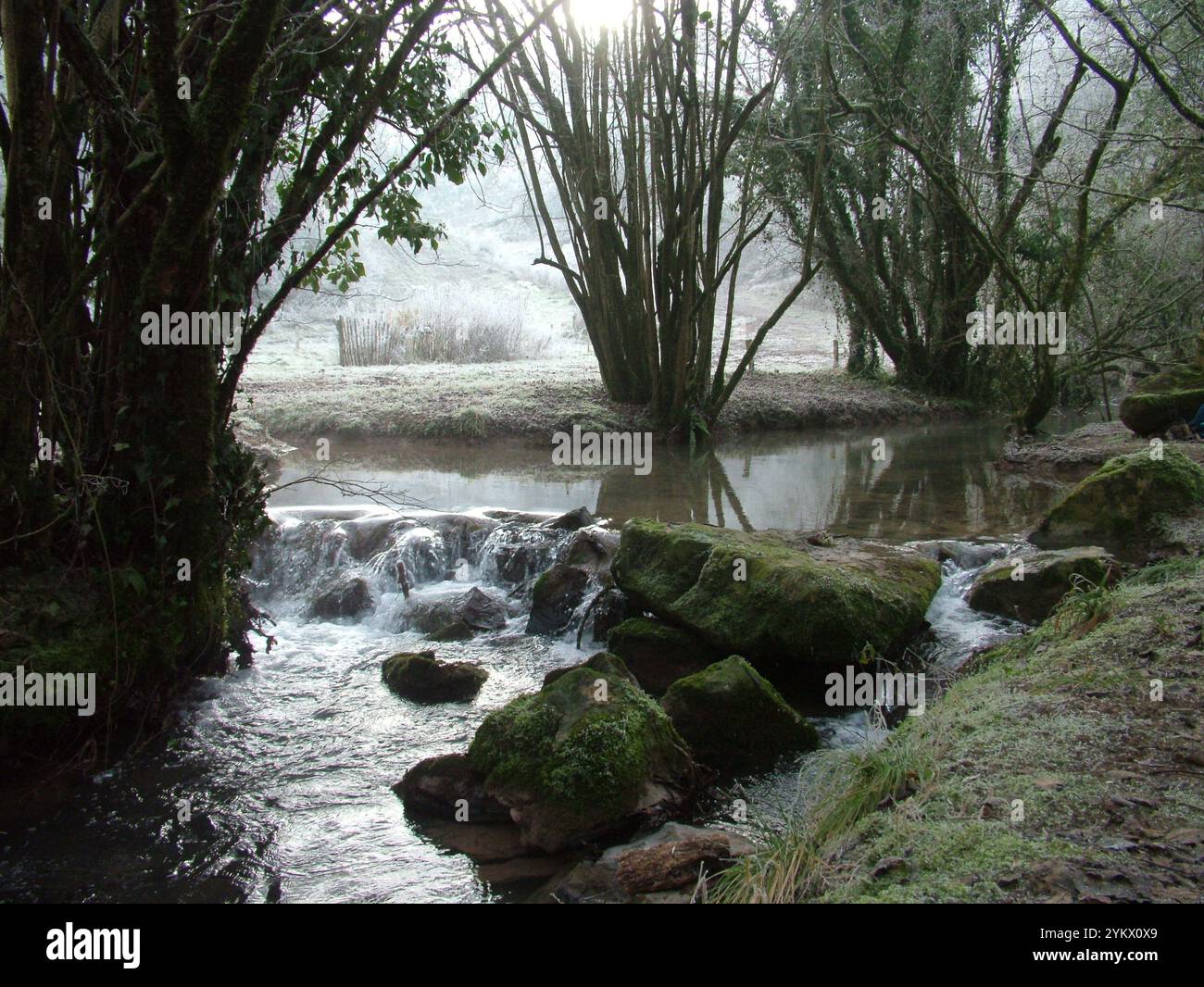 Das Wasser des Mells-Baches fließt an einem frischen, frostigen Wintertag längs über moosbedeckte Felsen Stockfoto