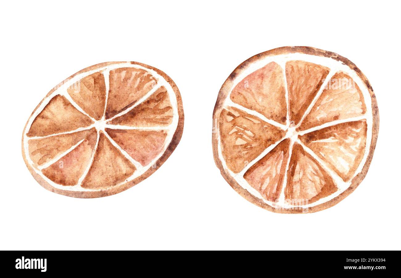 Set aus zwei orangefarbenen Schichten. Trockene Zitrusfrüchte. Aquarellabbildung im rustikalen Stil isoliert auf weißem Hintergrund. Designelemente für Weihnachten Stockfoto