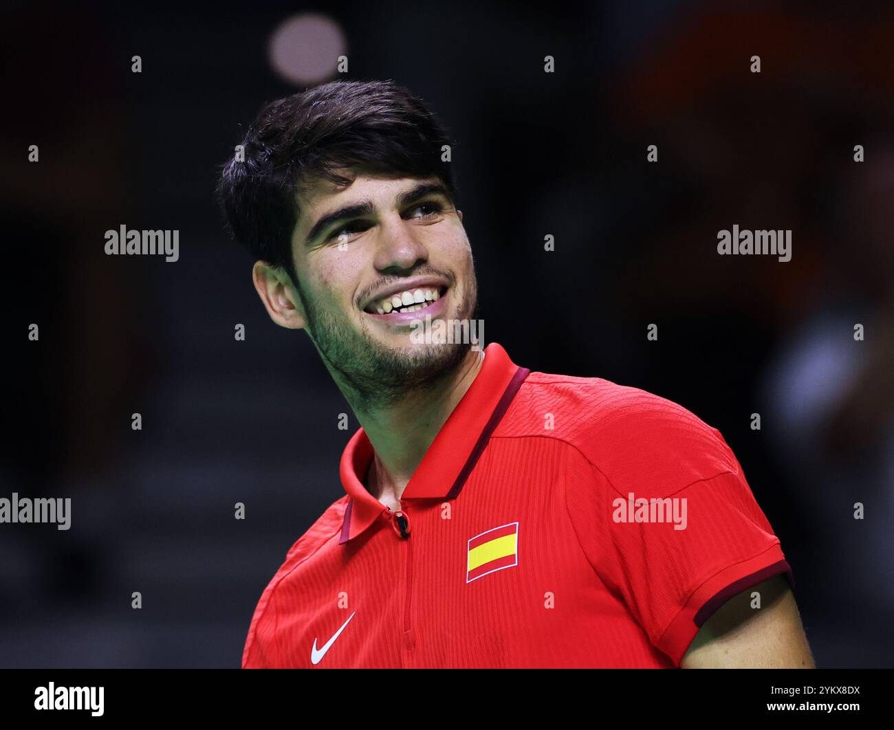 Malaga, Großbritannien. 19. November 2024. Carlos Alcaraz aus Spanien, im Davis Cup-Viertelfinale 2024 gegen Tallon Griekspoor, Niederlande, im Palacio de Deportes Jose Maria Martin Carpena Arena in Malaga. Quelle: Isabel Infantes/Alamy Live News Stockfoto