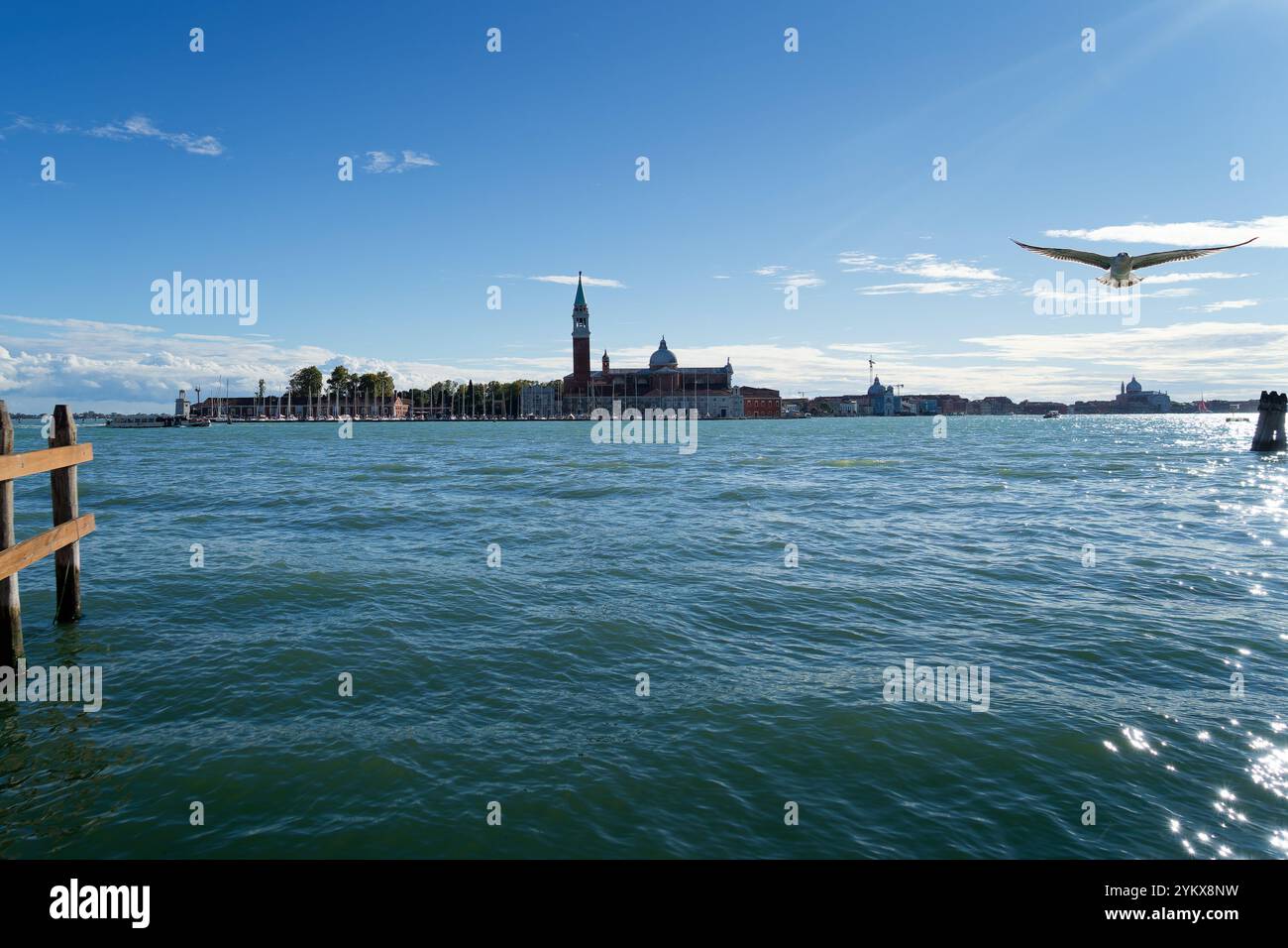 Blick auf die Insel San Giorgio Maggiore mit Vogelfliegen in der Nähe, an einem sonnigen Tag Venedig, Italien Stockfoto