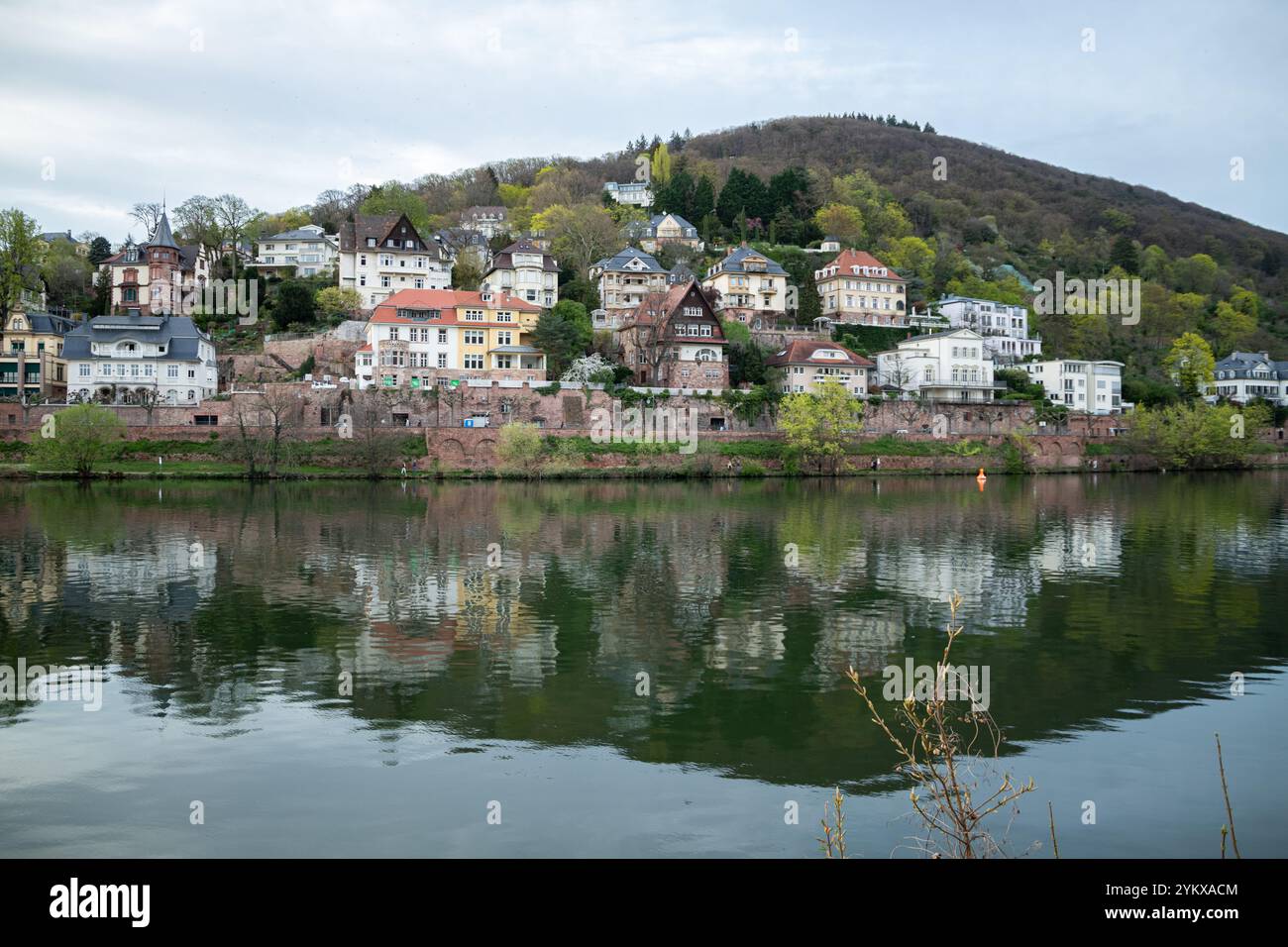 Heidelberg, Deutschland - 31.03.2024 - Blick auf das schöne Heidelberg, Hügel Reflexion im Neckar, Ostern 2024 Stockfoto