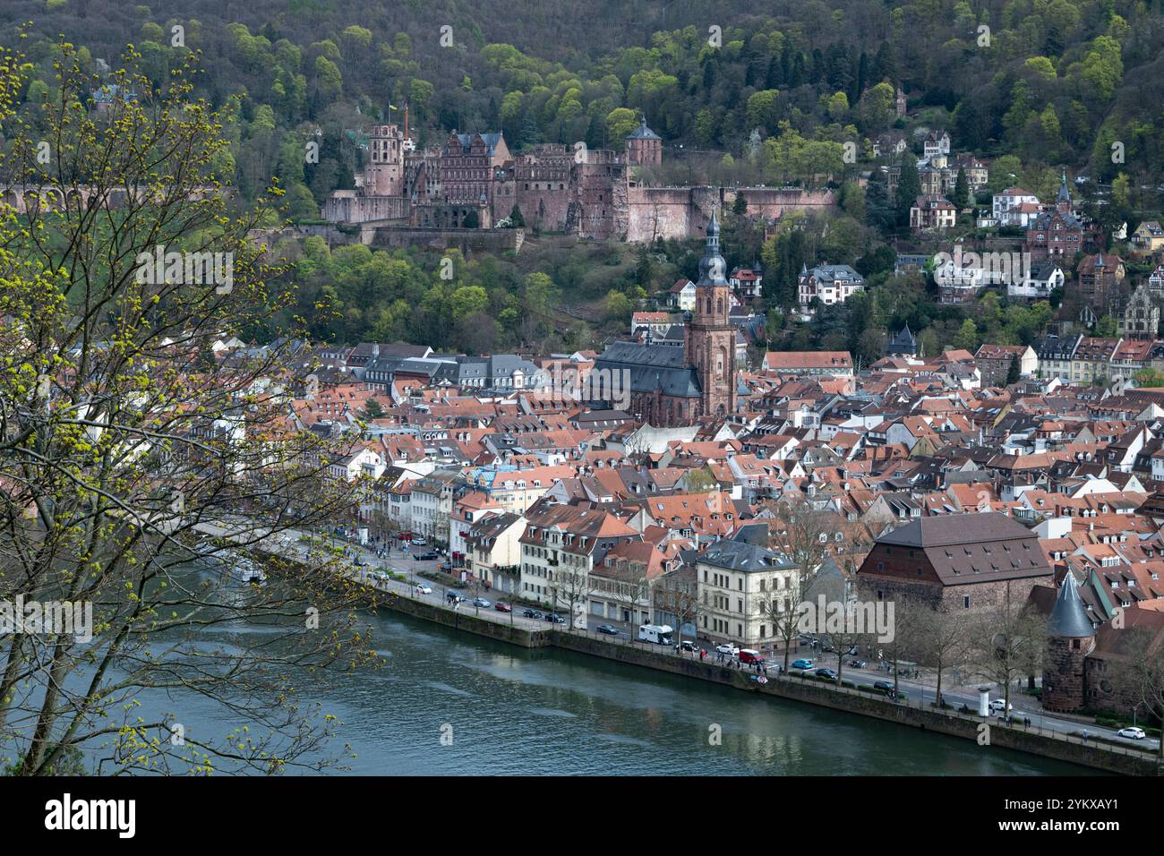 Heidelberg, Deutschland - 31.03.2024 - Blick auf das Heidelberger Schloss vom Philosophen' Walk in Heidelberg, Ostern 2024 Stockfoto