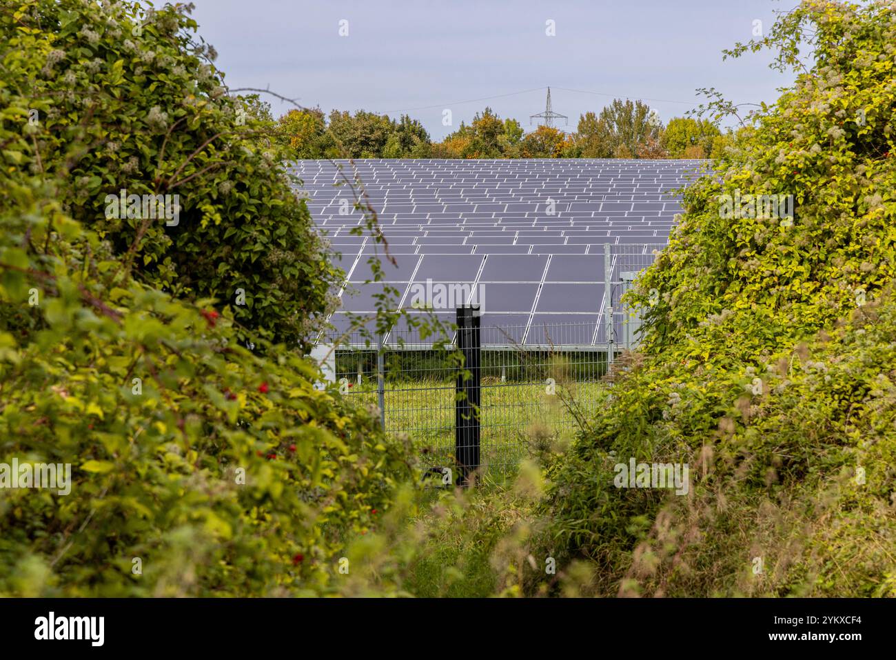 Energiegewinnung aus Sonnenenergie Solarpark Stockfoto