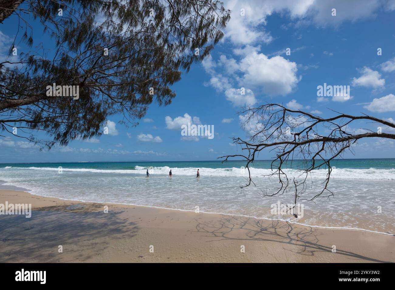 Drei Personen schwimmen am idyllischen Flinders Beach, North Stradbroke Island, Queensland, QLD, Australien Stockfoto