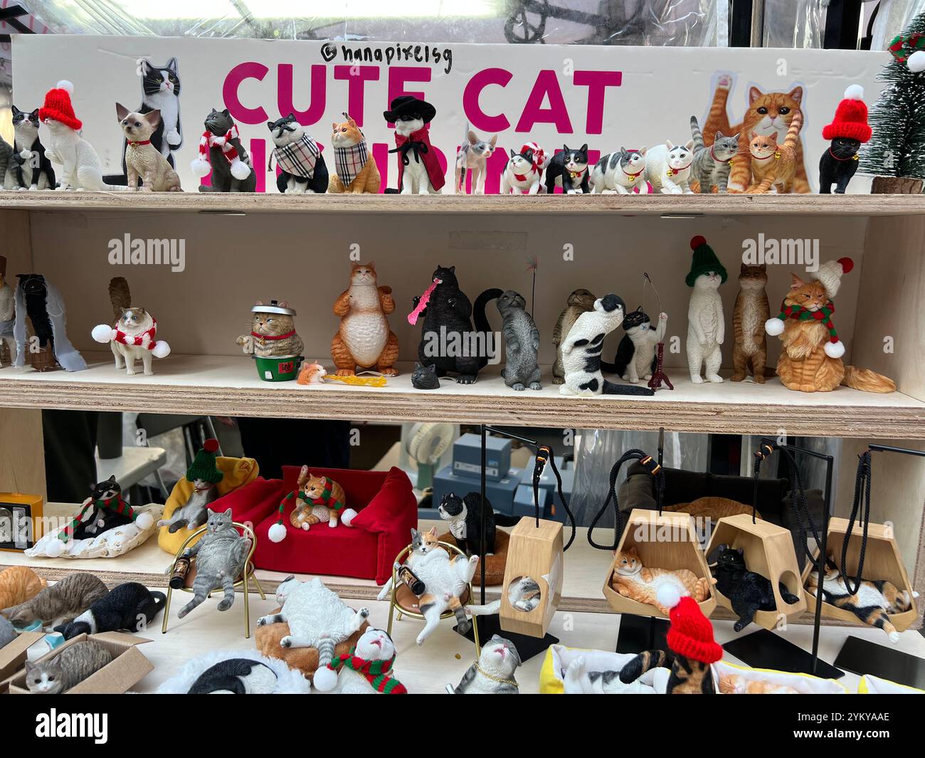 Miniaturkatzen in verschiedenen Rassen, Positionen, Posen, Farben, ultimativer Niedlichkeit für Katzenliebhaber zum Sammeln oder zur Heimdekoration. Singapur. - Smartphone-aufgenommenes Stockfoto