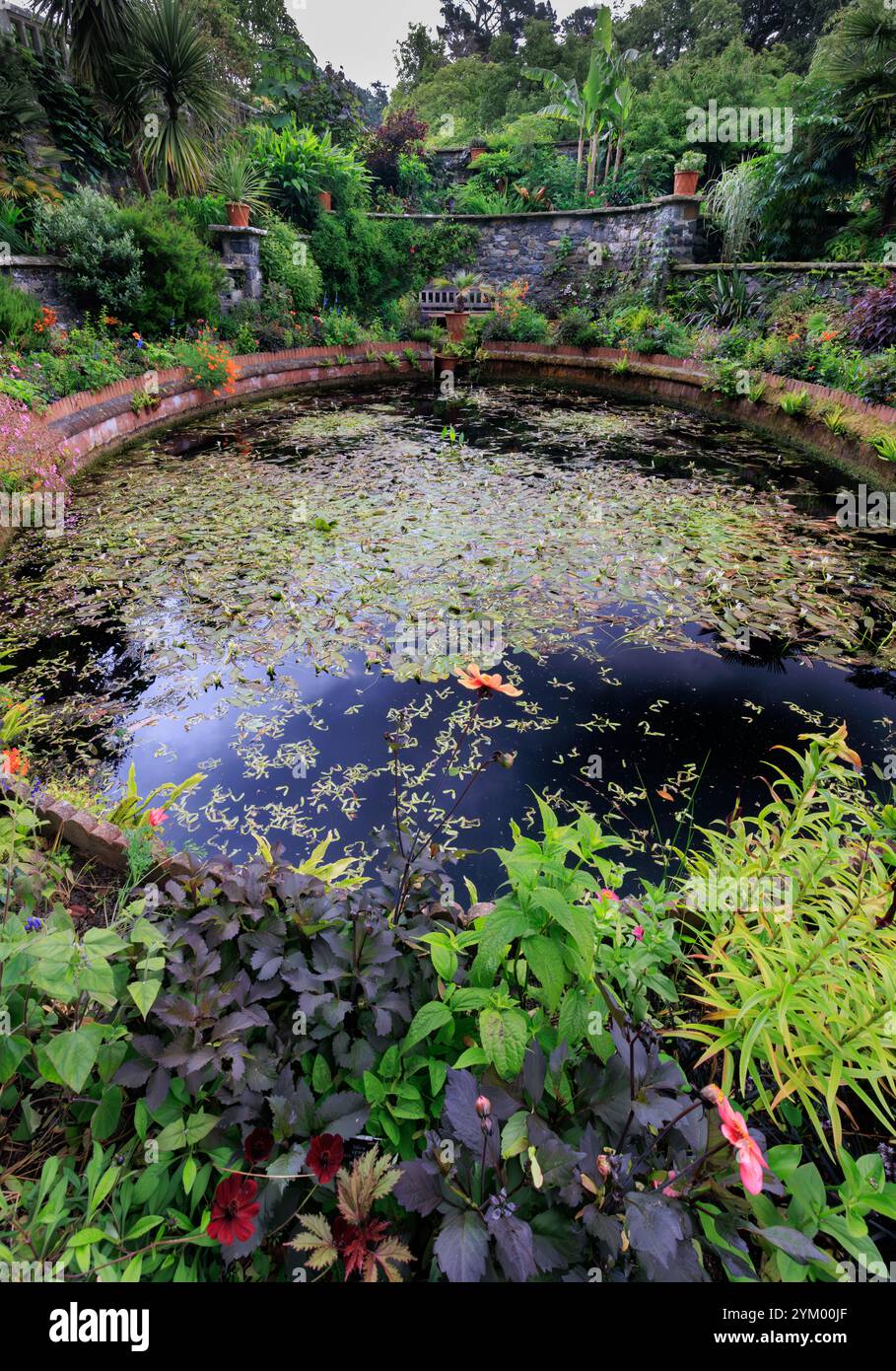 Teich in Bodnant Gardens, Wales, Großbritannien mit einer Vielzahl von verschiedenen Pflanzen und Blumen Stockfoto