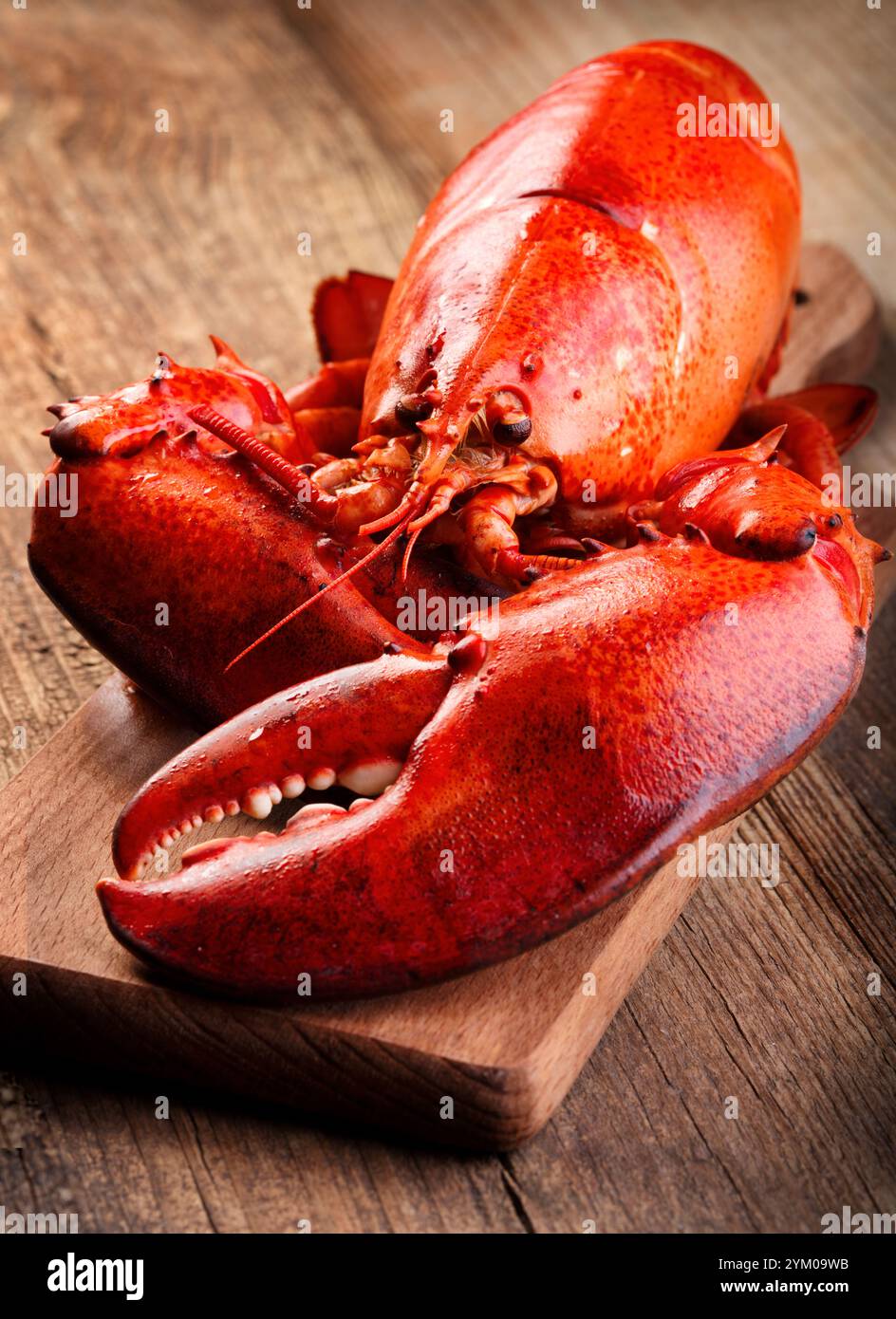 Roter gekochter Hummer auf hölzernem Hintergrund Stockfoto