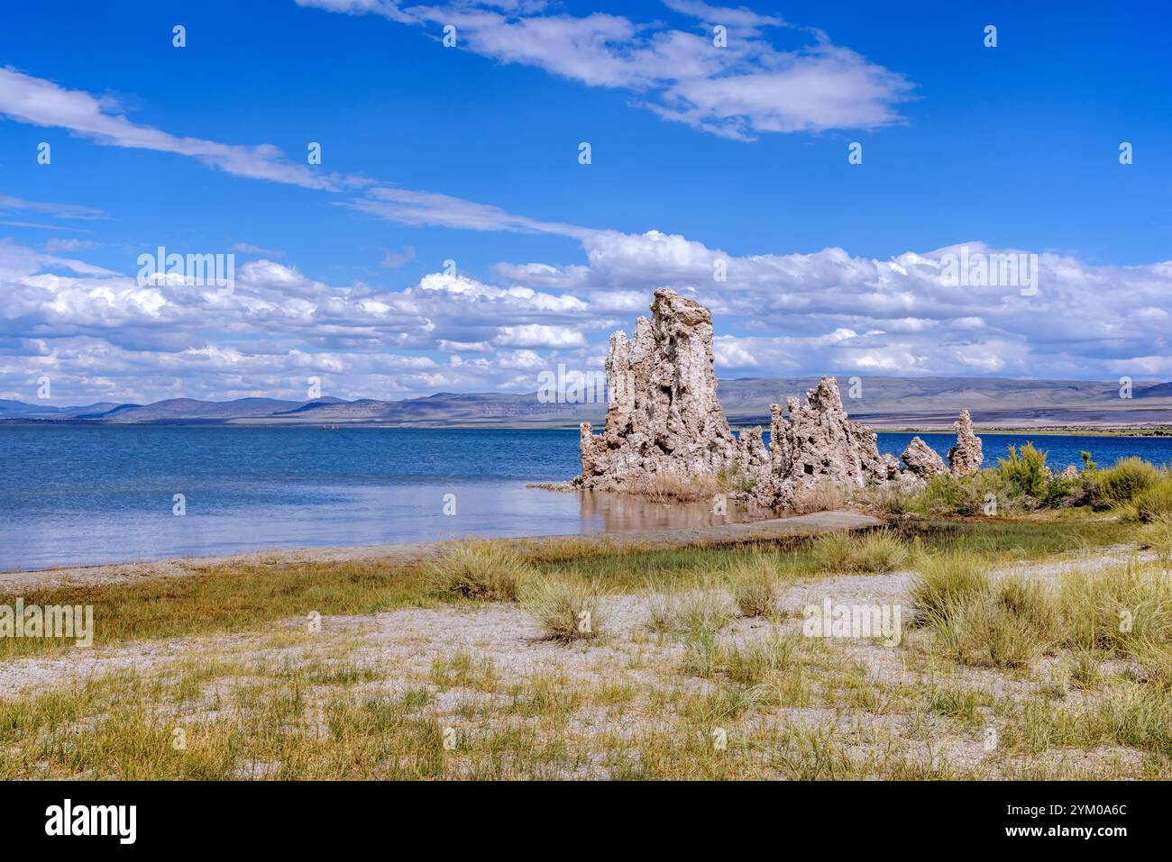 South Tufa am Mono Lake, Mammoth, Kalifornien Stockfoto